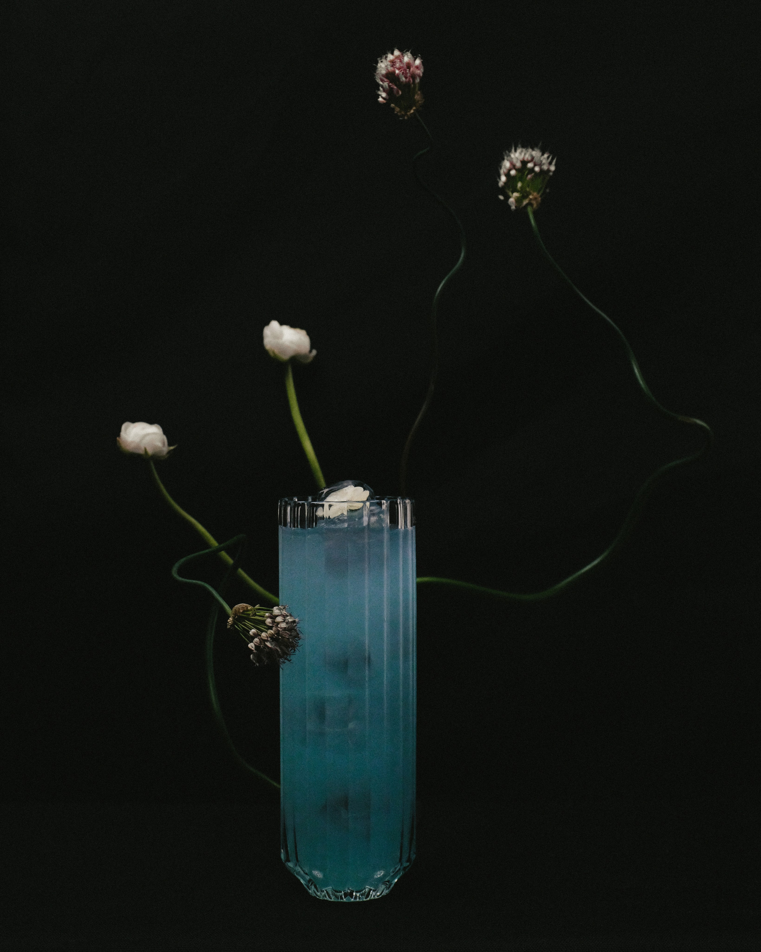 Doom of bloom x february bar. Портретный фотограф Алиса Санкт-Петербург