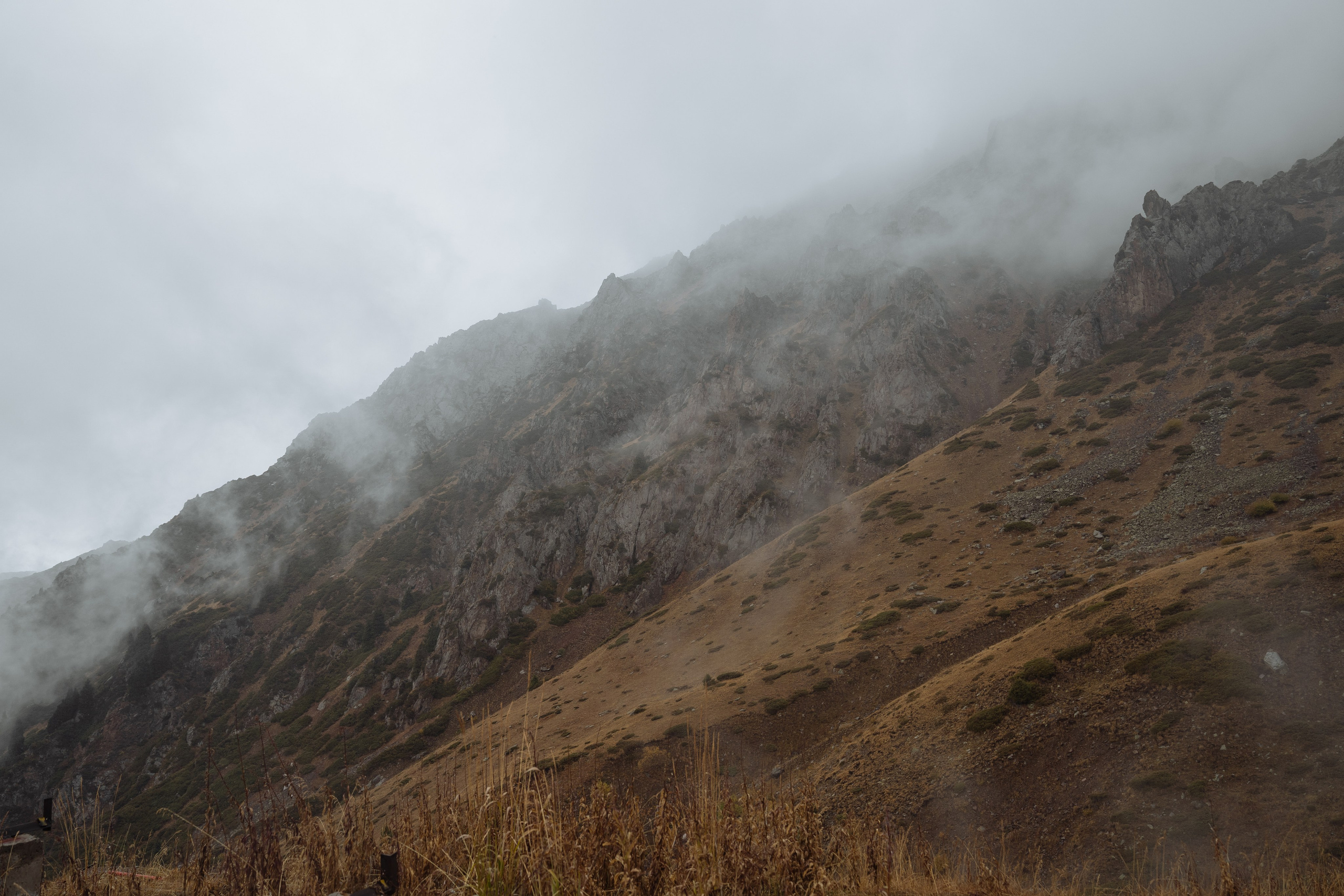 Вершины сердец. Свадебный фотограф Диана Грицай