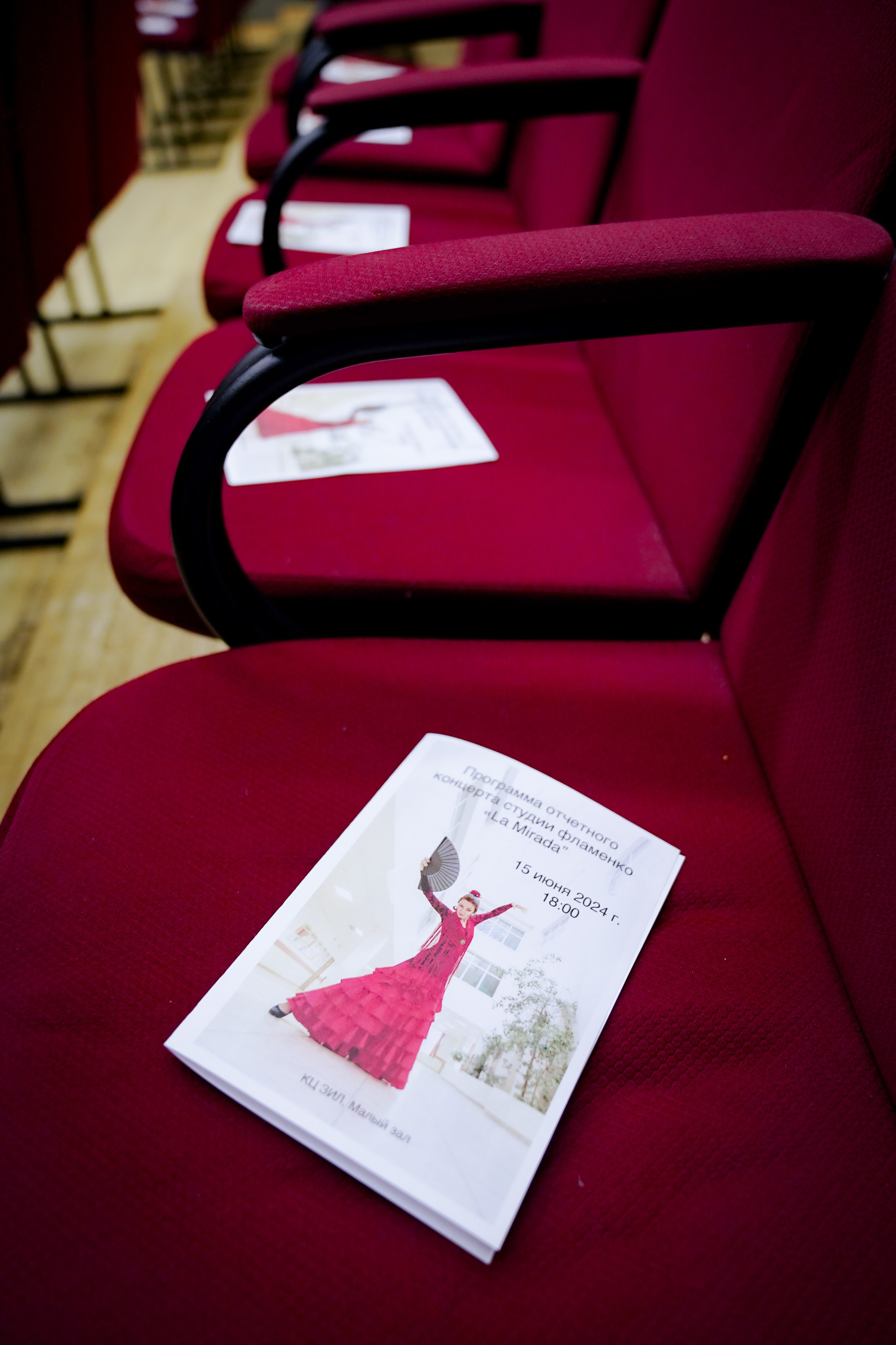 Фламенко la Mirada. Фотограф в Москве Мария ~Zagagul~