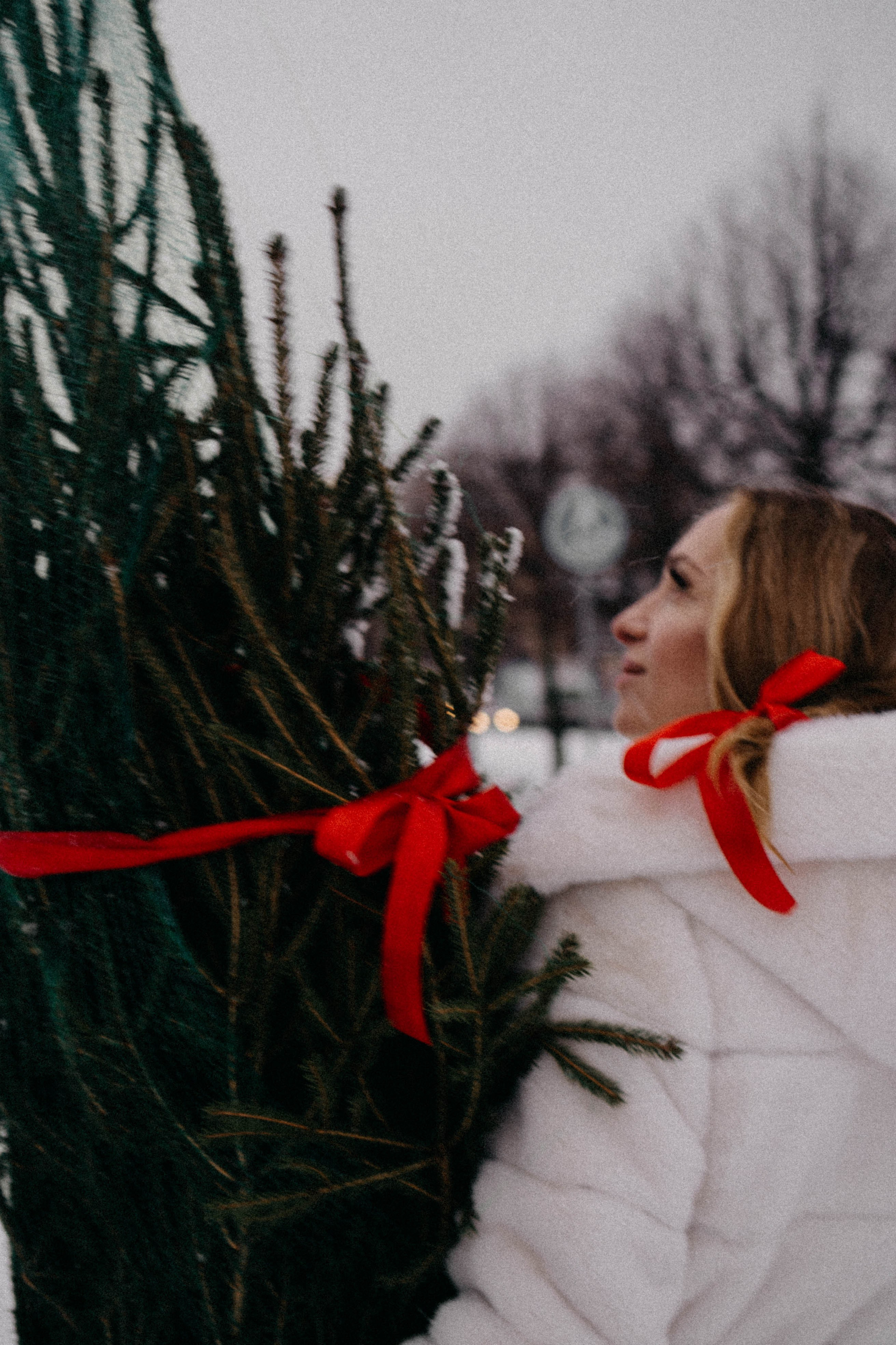 Новогодняя. Профессиональный фотограф, Санкт-Петербург — Виктория Богомолова