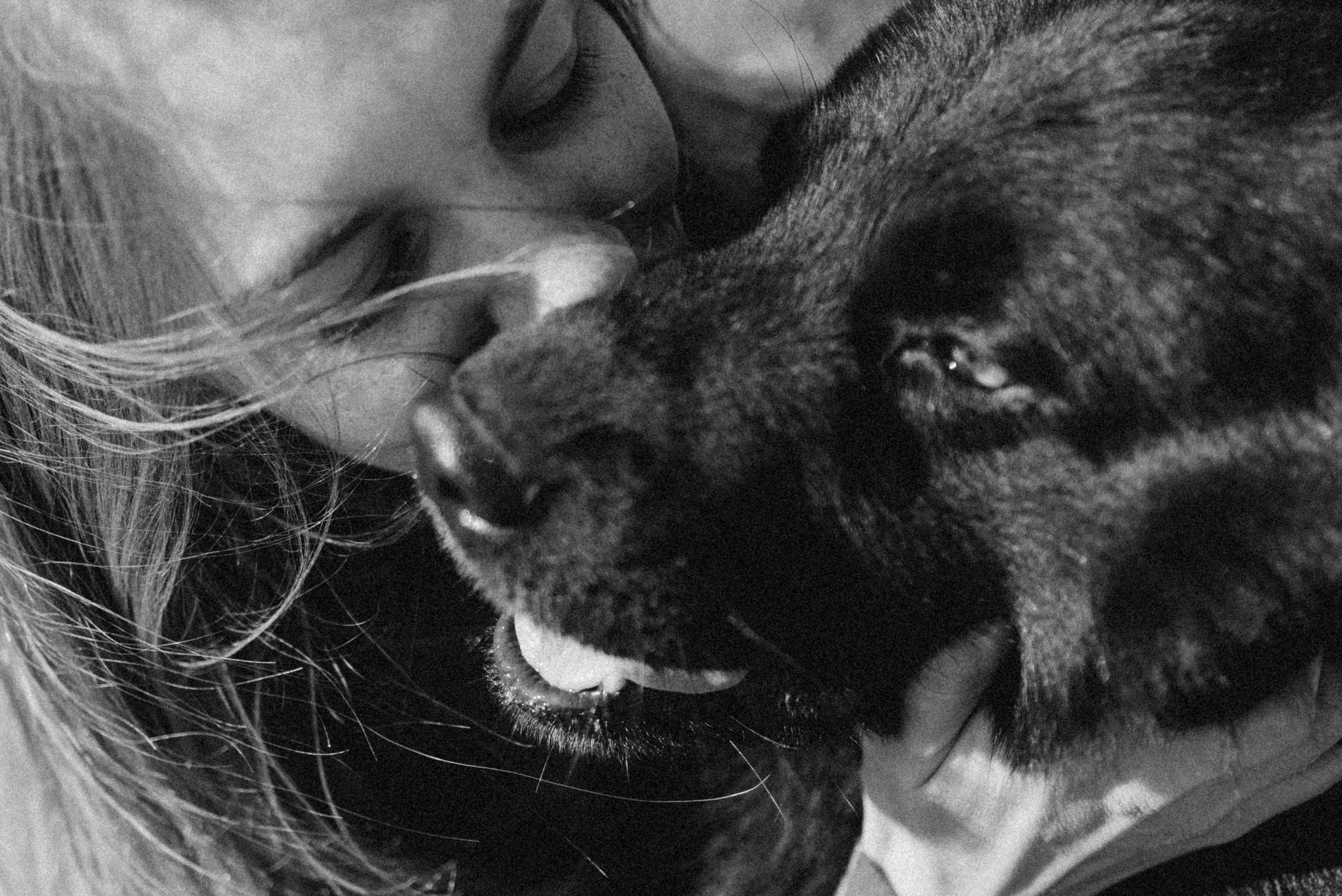 Лора и Джанго. Фотограф — Анималист | Санкт-Петербург