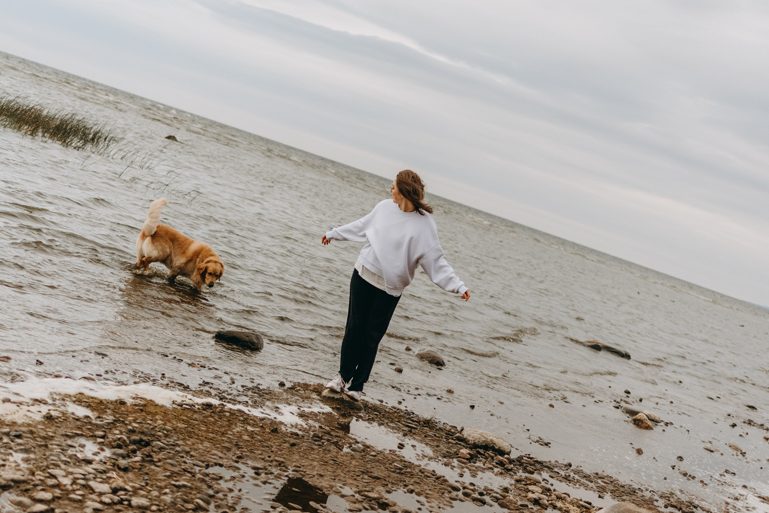 Фоси и его семьи. Фотограф — Анималист | Санкт-Петербург