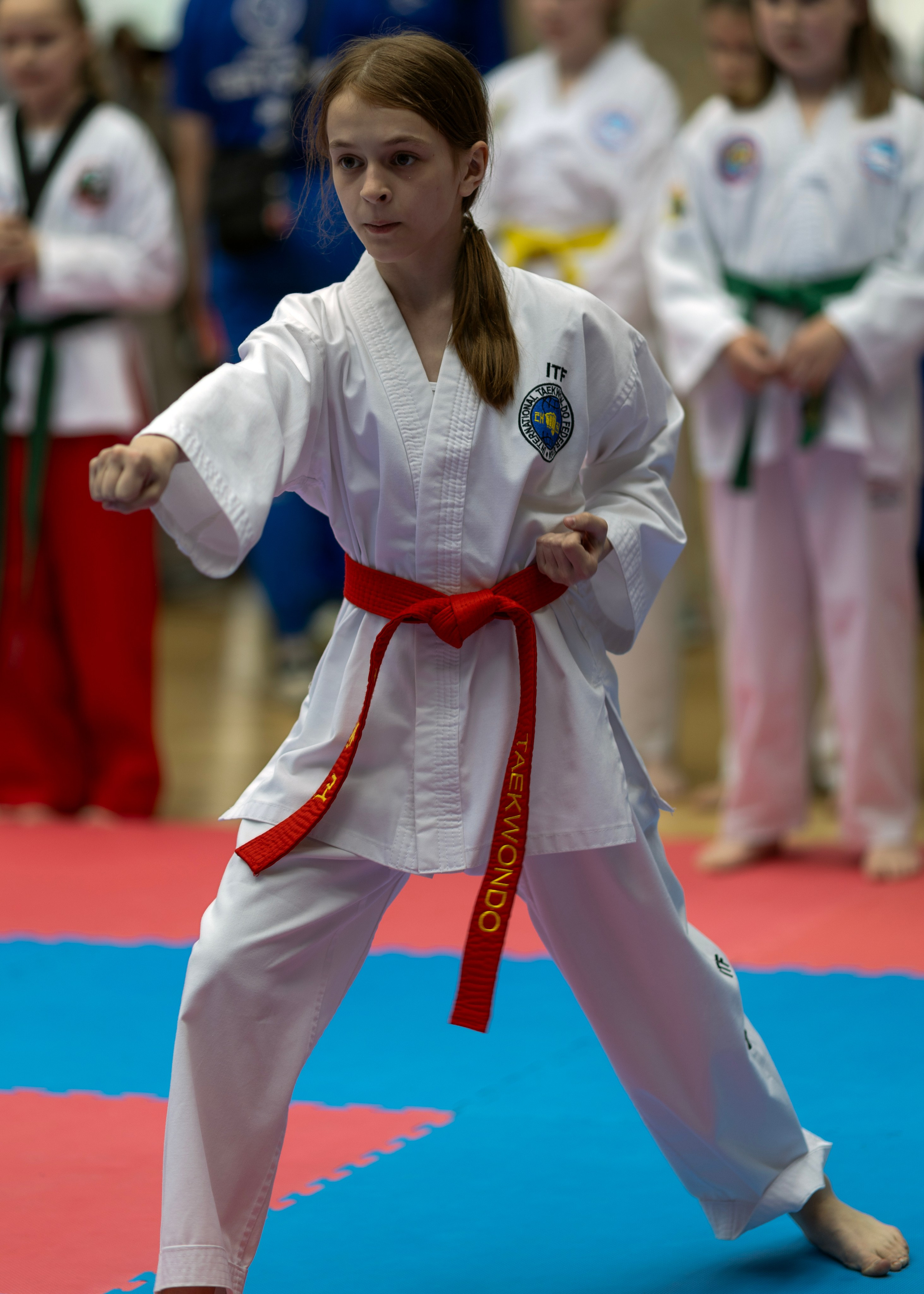 Фото турнира по Тхеквондо, проводимого в г. Железноводске. Медиапродюсер, фотограф в Минеральных Водах —Виктор Холодов