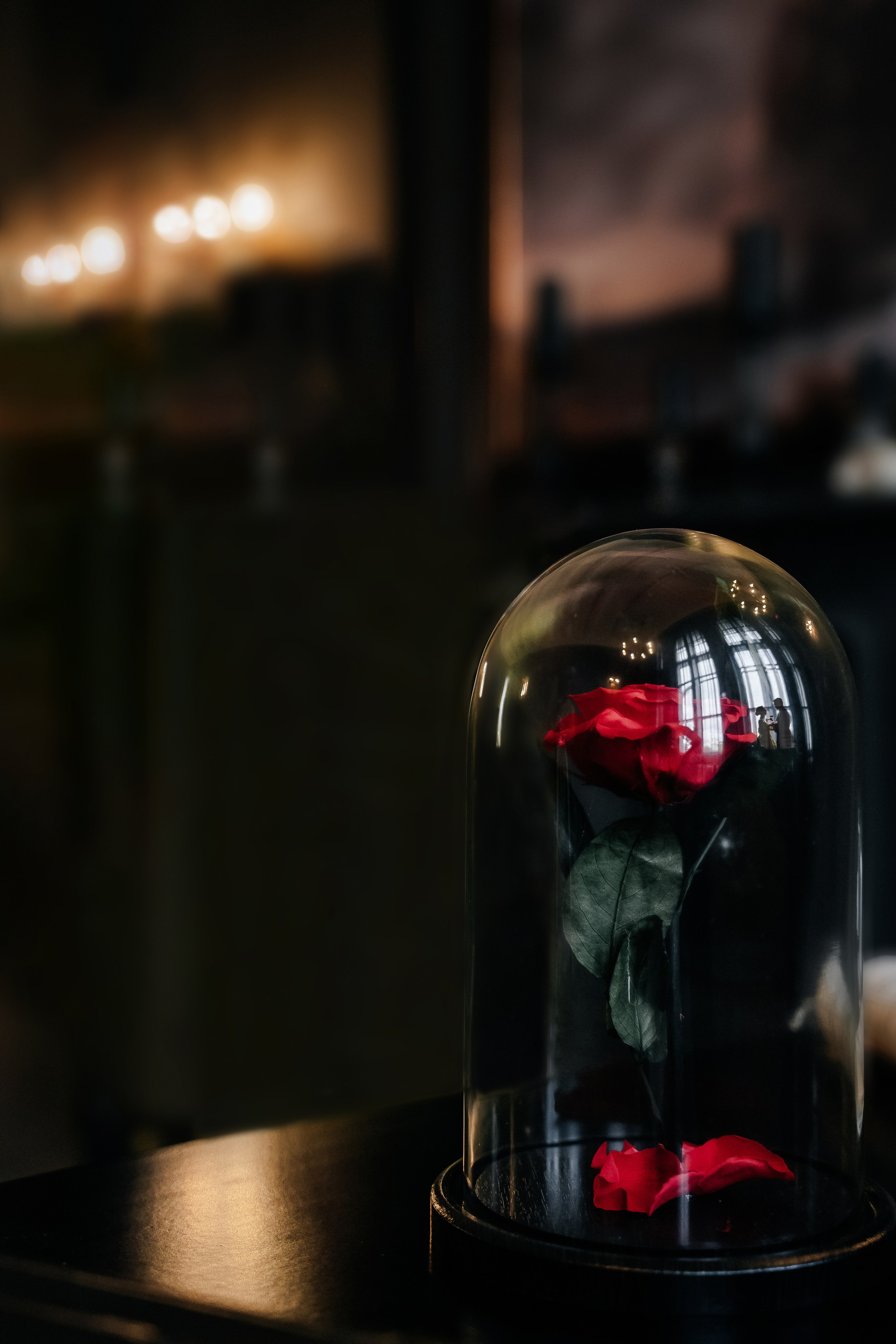 Виолетта и Артём (по мотивам «Красавица и Чудовище»). Свадебный Фотограф Минск || Фото и Видеосъёмка Минск || Другие города