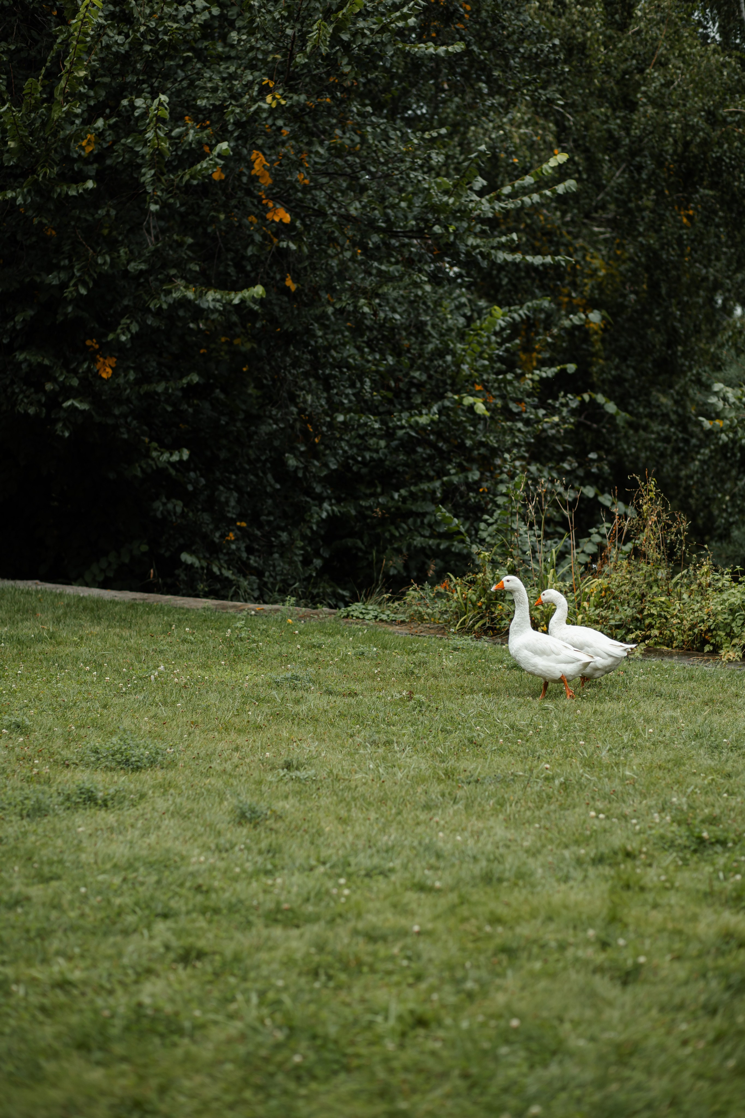 Данил и Анастасия. Фотограф Вячеслав Фарунин
