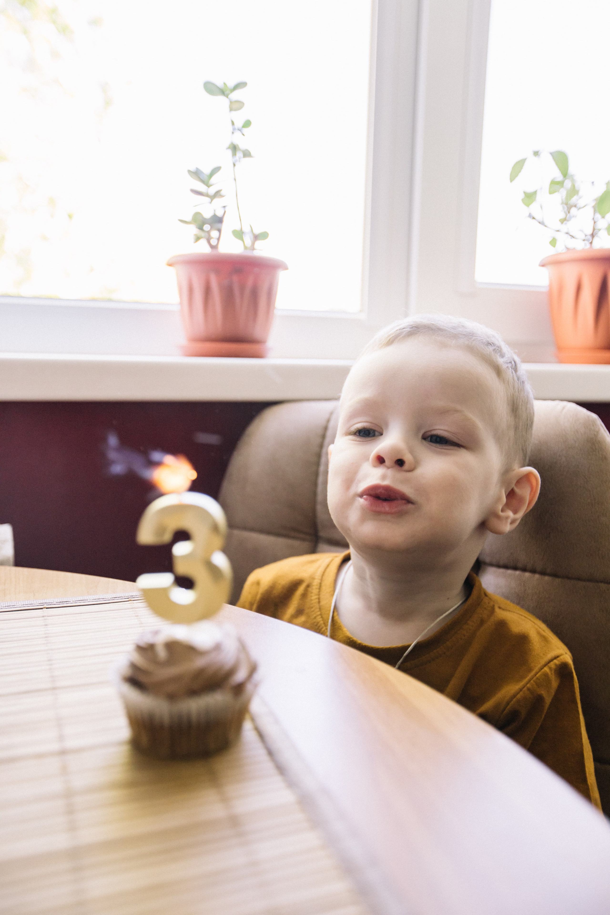 Ярослав + Юля + Егор. Главная