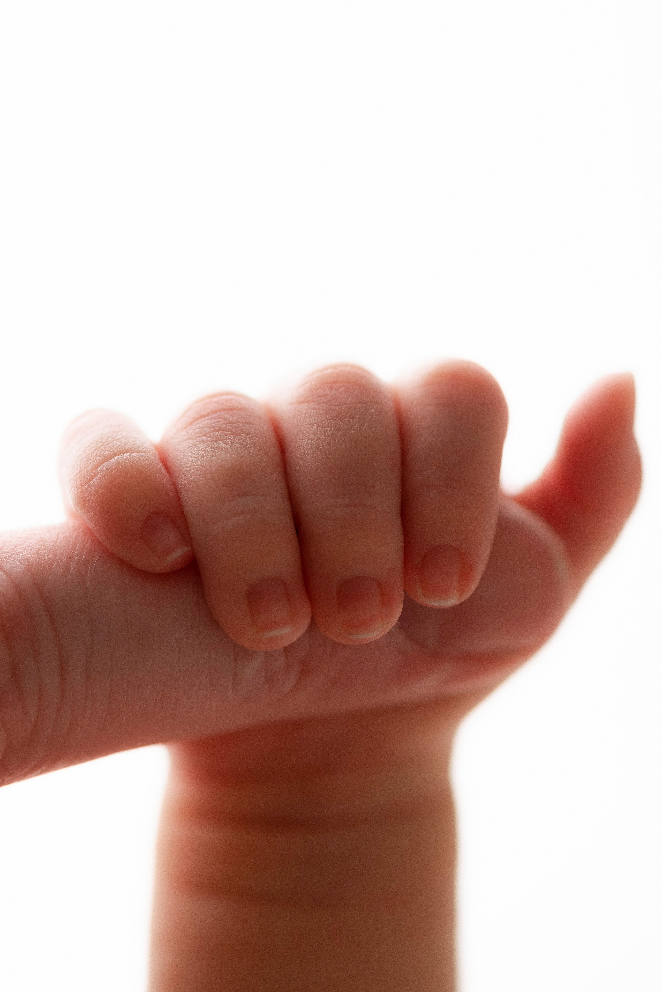 Фотограф новорожденных в Калиниграде Зинченко Анастасия