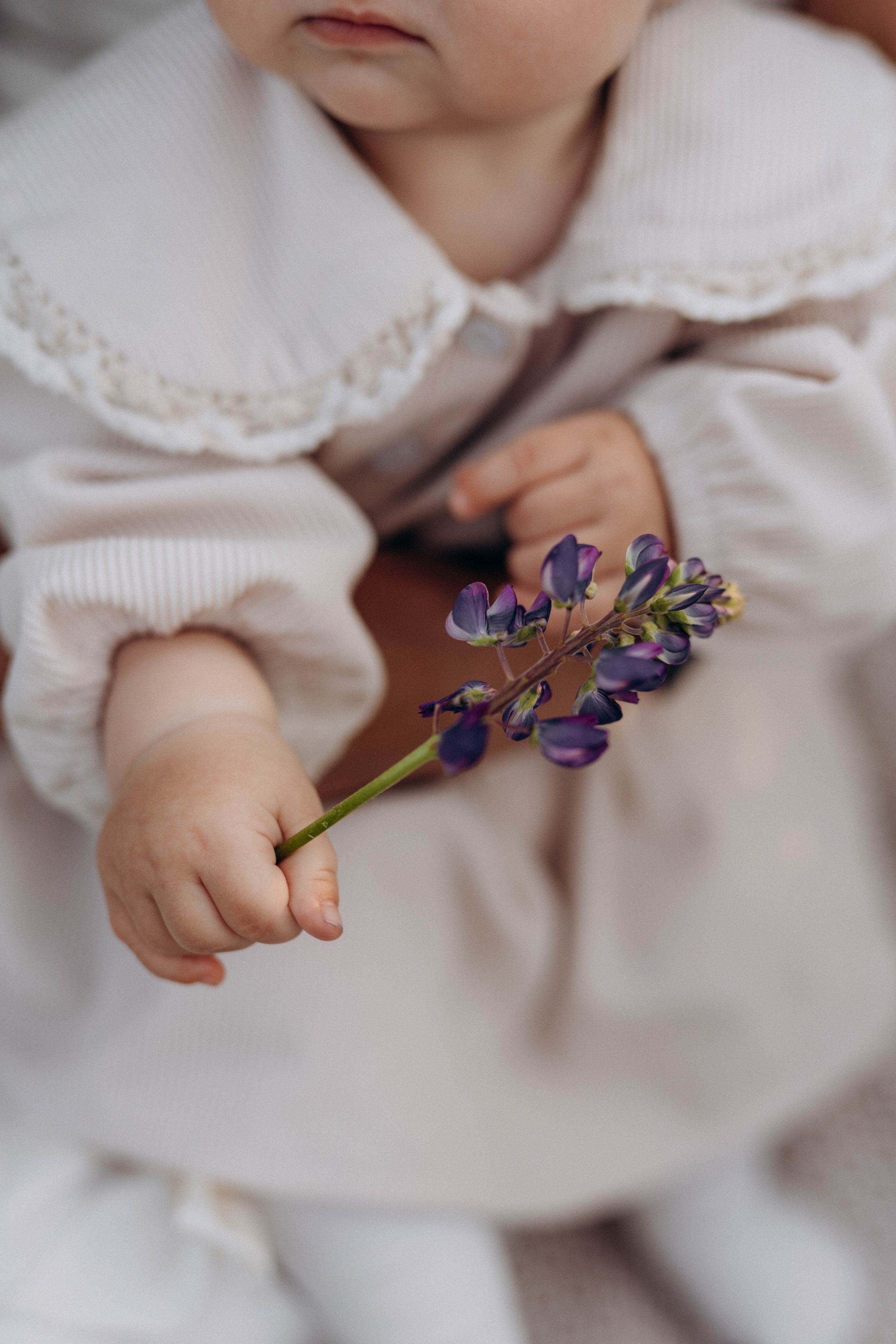 Анатолий, Мария и Анисия. Свадебный и семейный фотограф в Калуге Анна Киреева