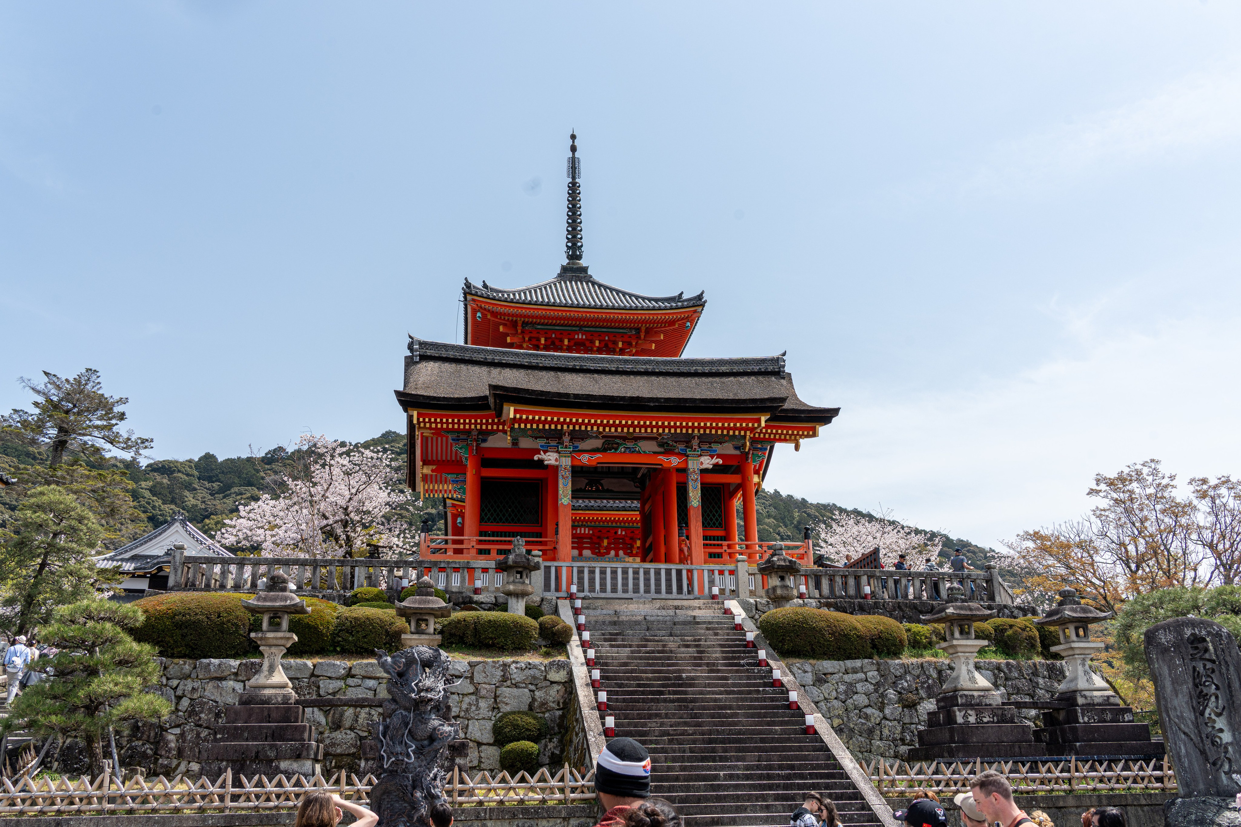 Япония, сакура. Творческие сьемки