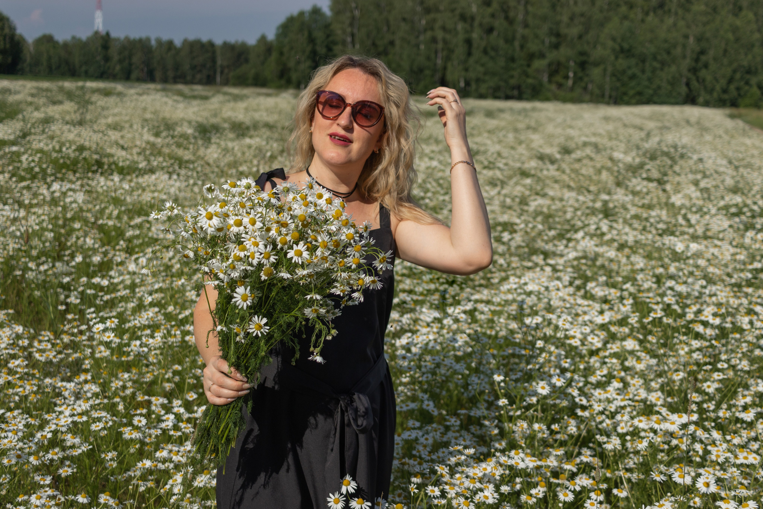 Ромашковое поле. Фотограф в Городце Розова Елена