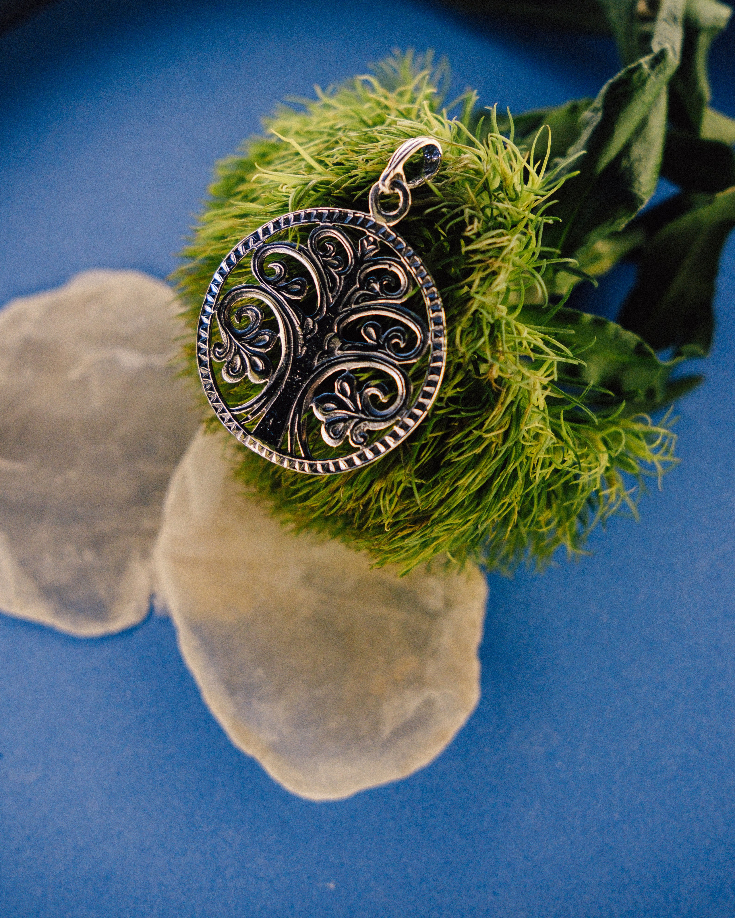 Бренды. Фотограф из Хакасии Элина Кичеева