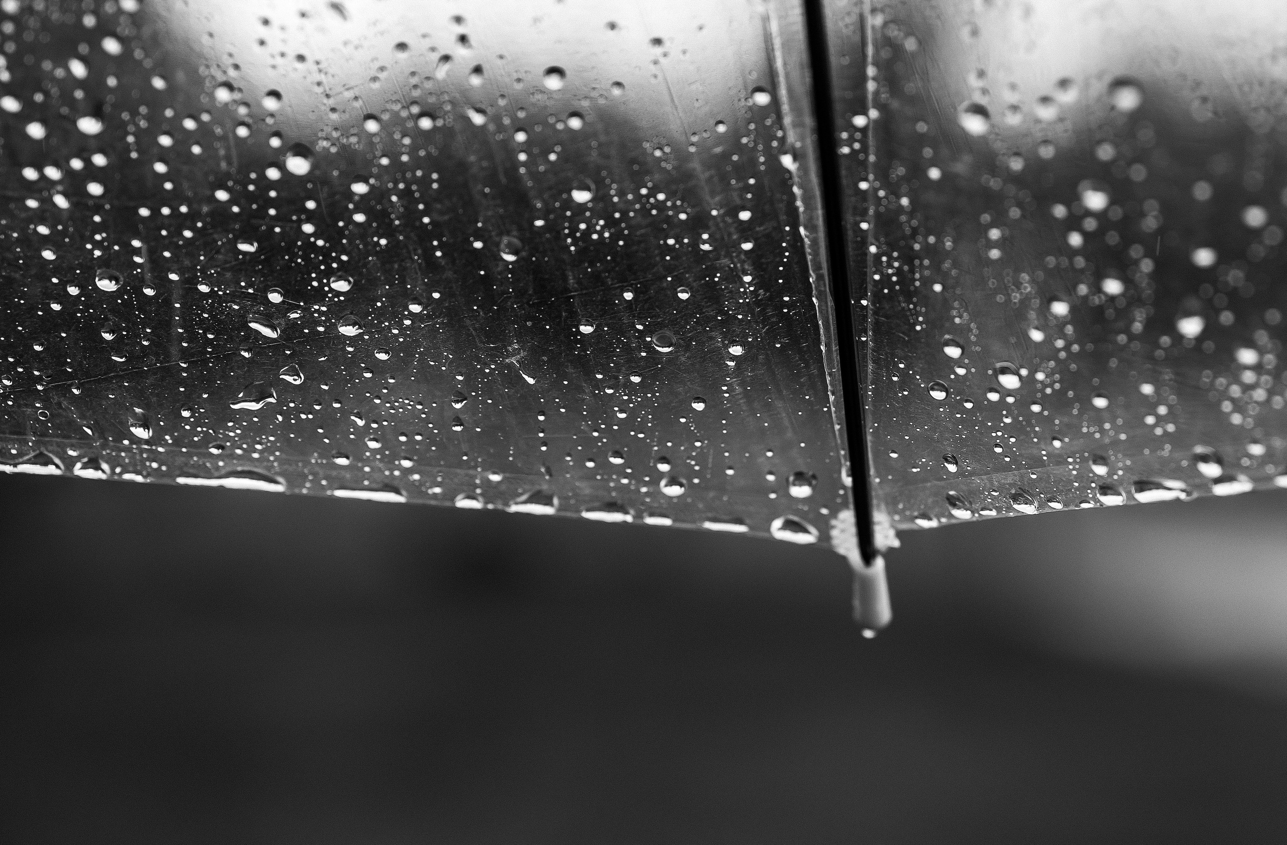 Ксения & Виталий | 07.06.24. Свадебный и семейный фотограф в Омске Евгения Хакимова