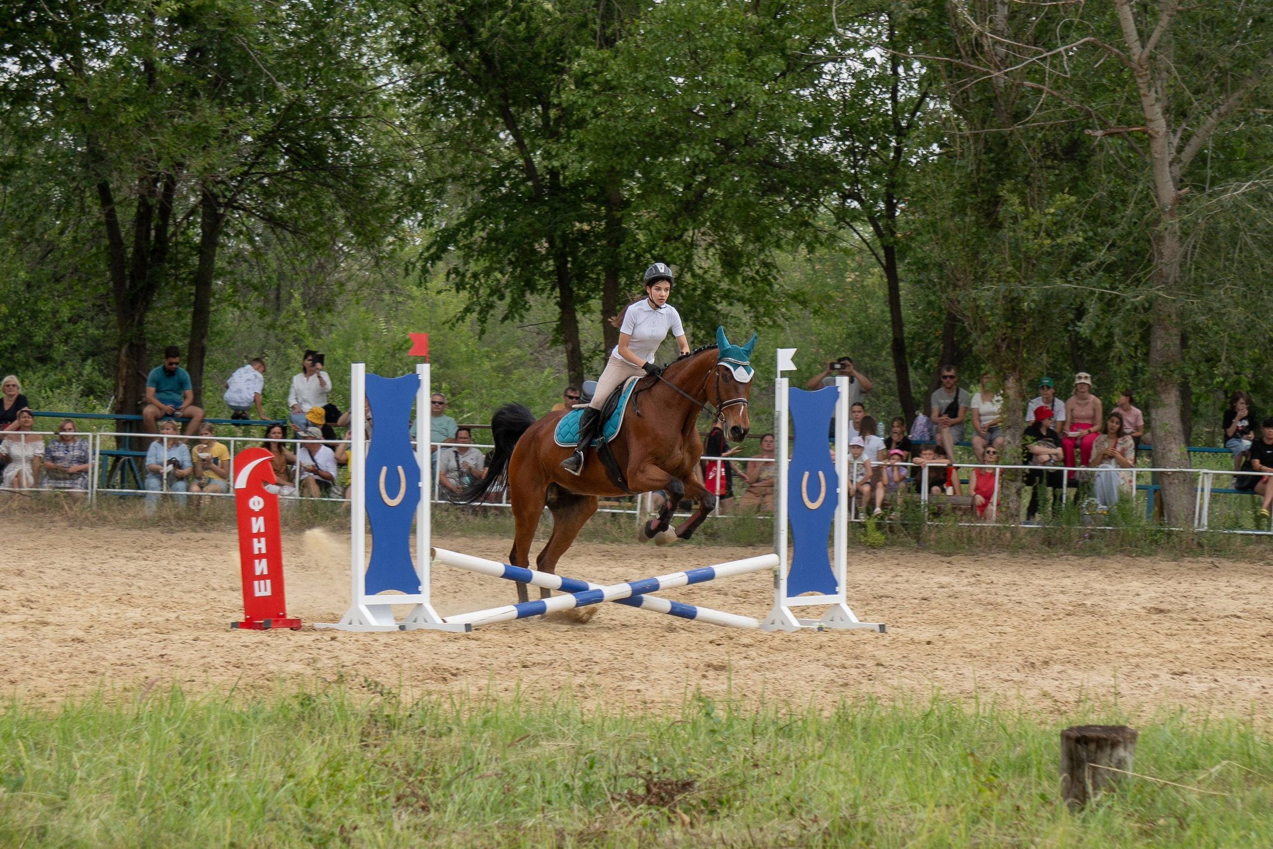 Соревнования по конкуру, Луганск. Фотограф в РФ и ЛНР Юлия Федосеева