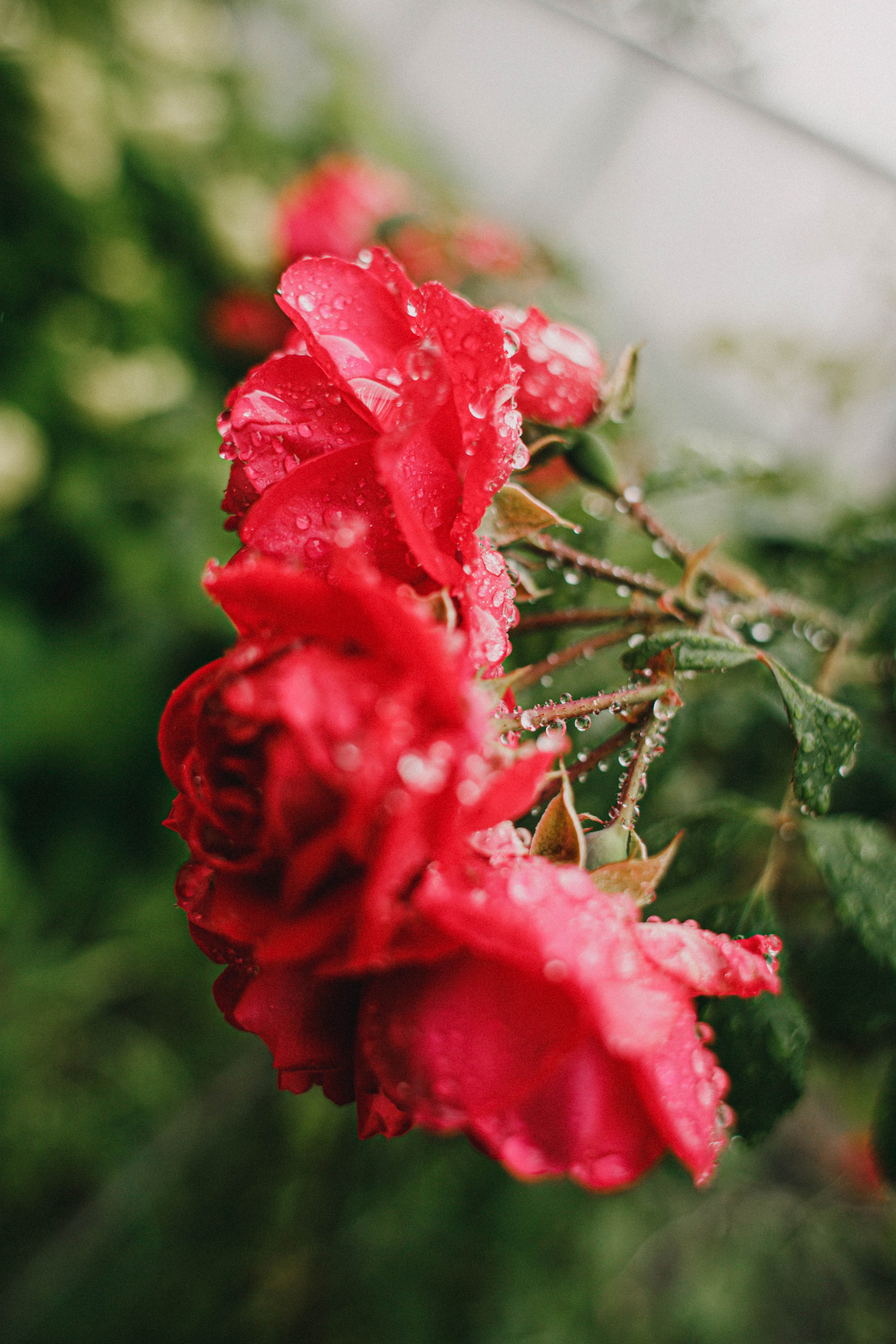 Сева у бабушки. Фотограф в Нижнем Новгороде