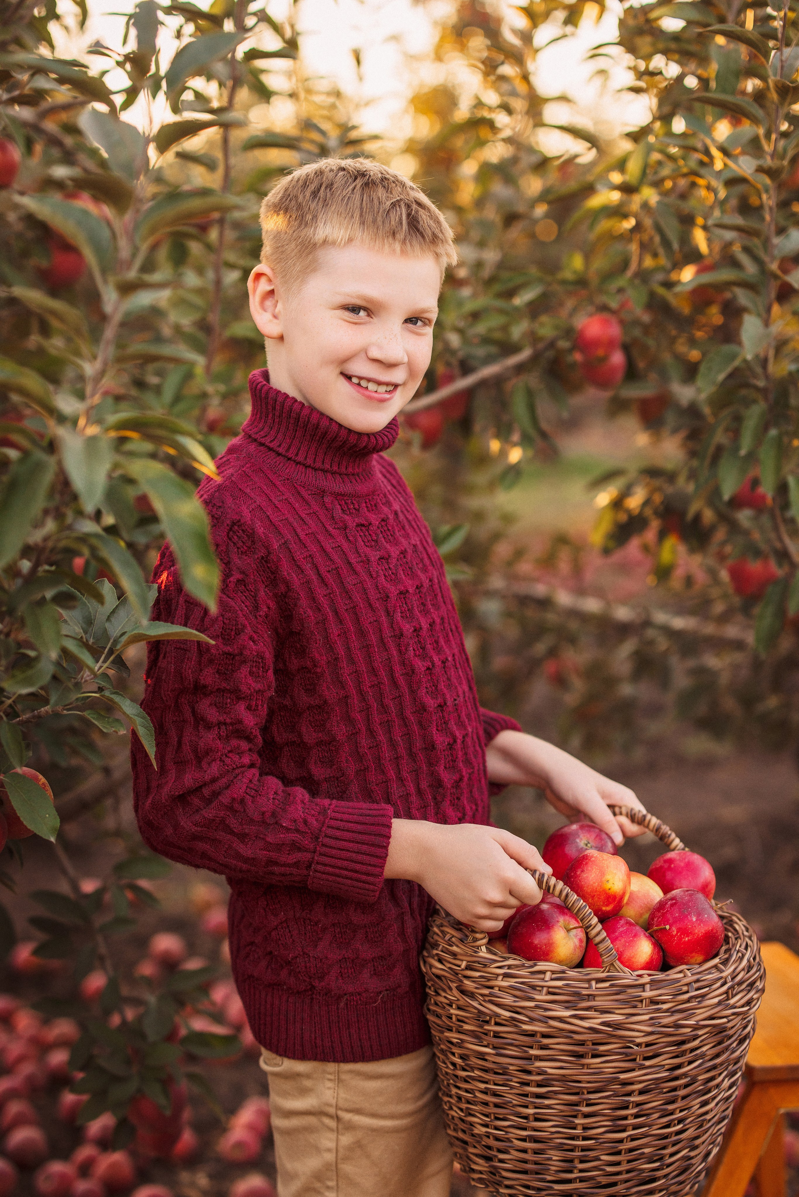 Сбор урожая Яблок. Семейный и детский фотограф в Краснодаре Анна Трашкова