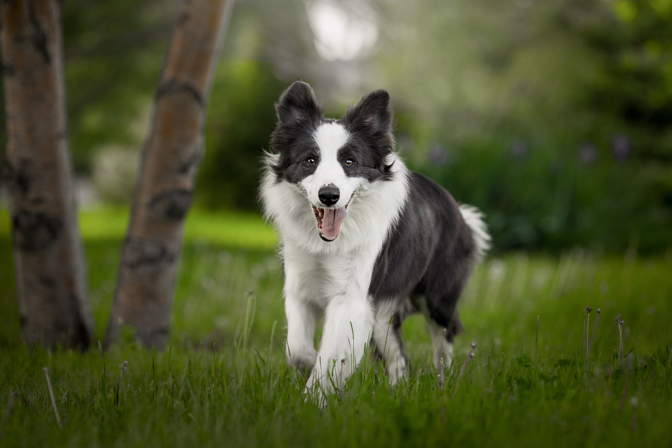 Роскошь в ростошах. О нас