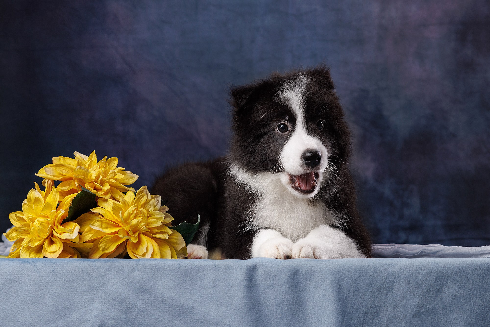 На водной основе. О нас