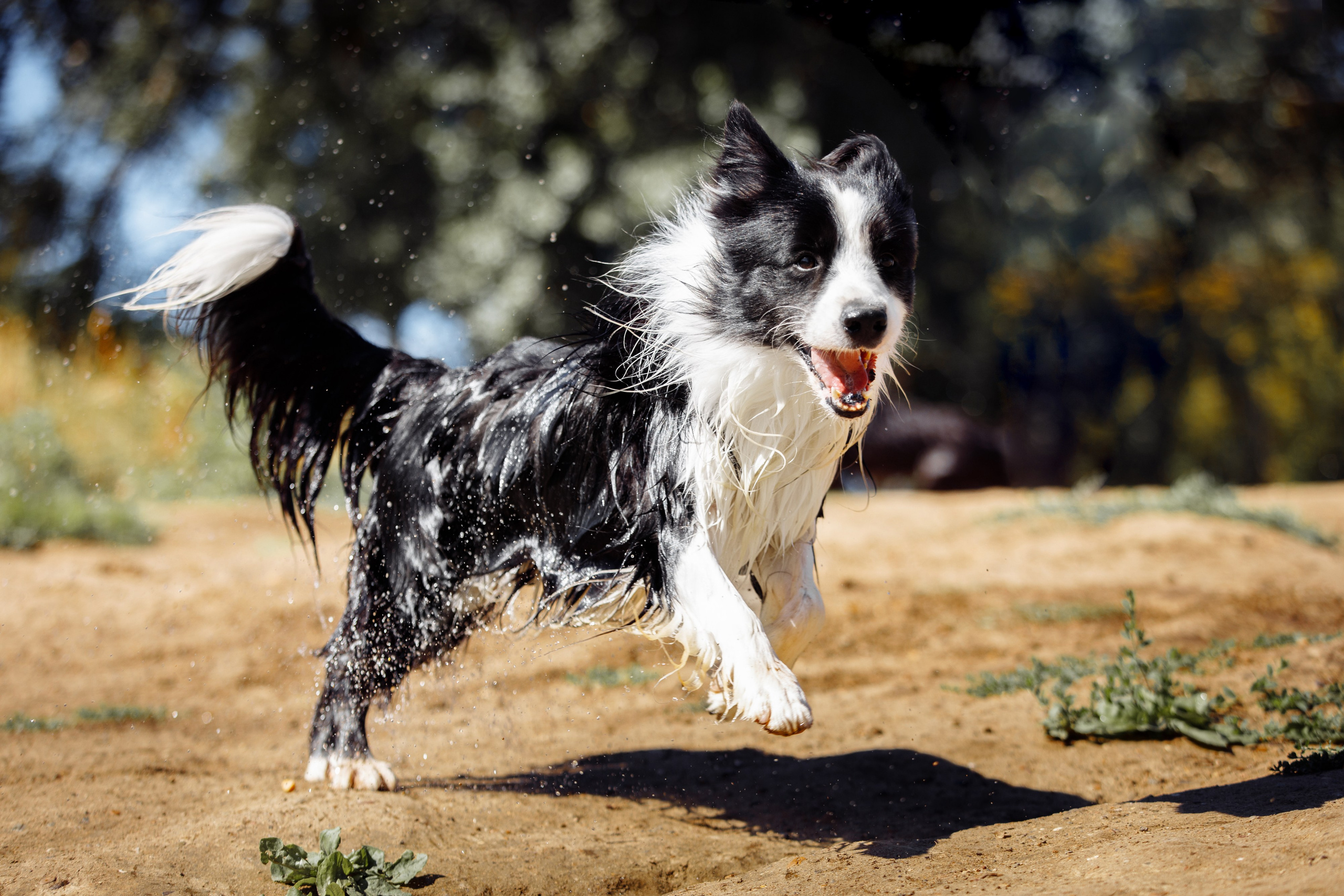 Водяные в Новотроицке. О нас