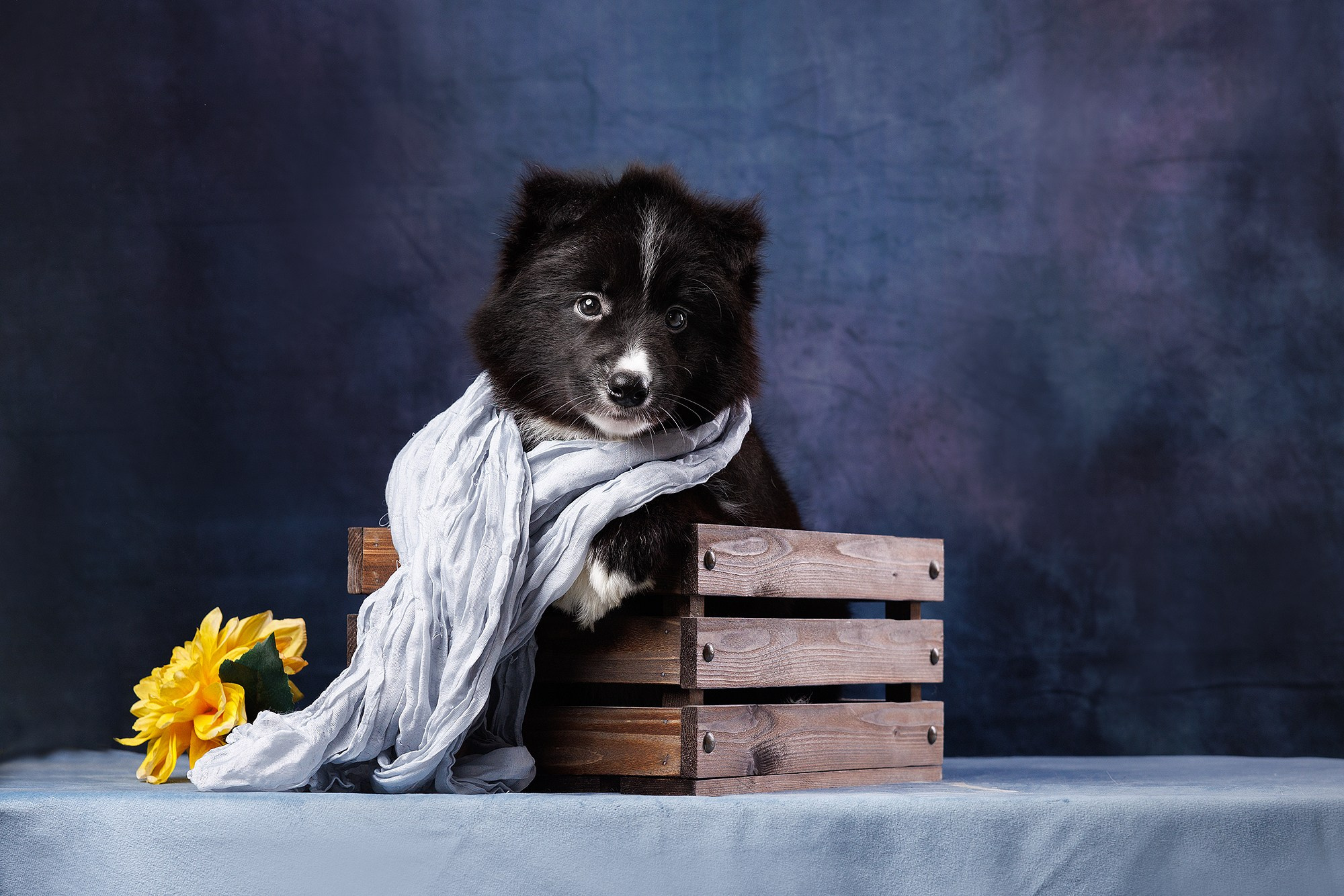 На водной основе. О нас