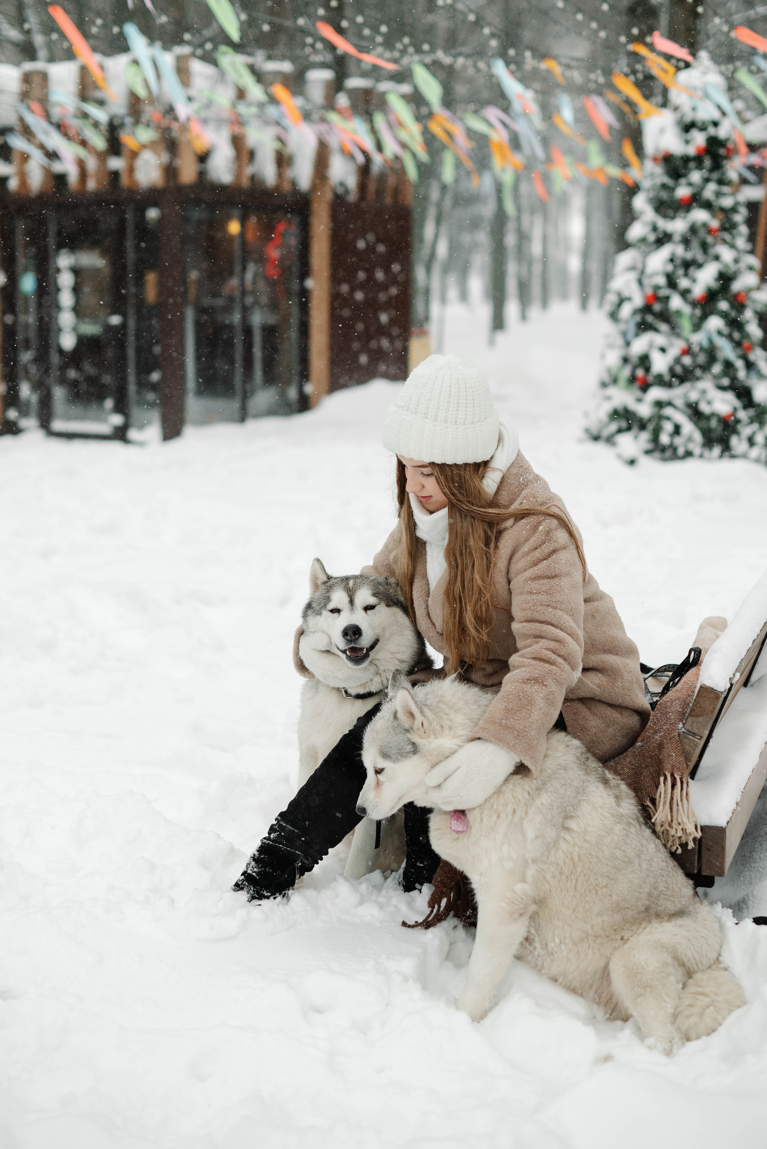 Маша с двумя хаски в снегу. Свадебный и портретный фотограф в Липецке Юлия Свит