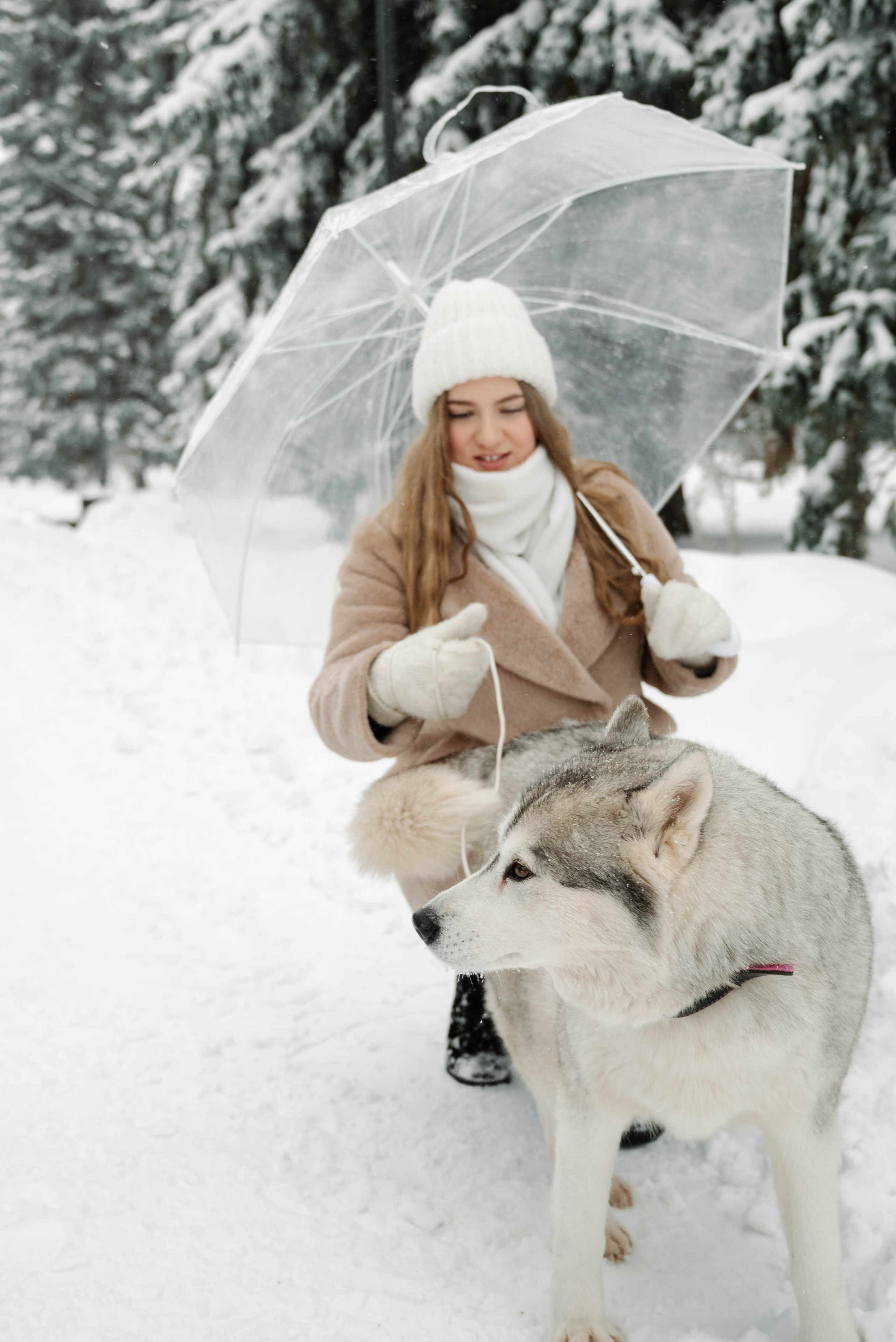 Маша с двумя хаски в снегу. Свадебный и портретный фотограф в Липецке Юлия Свит