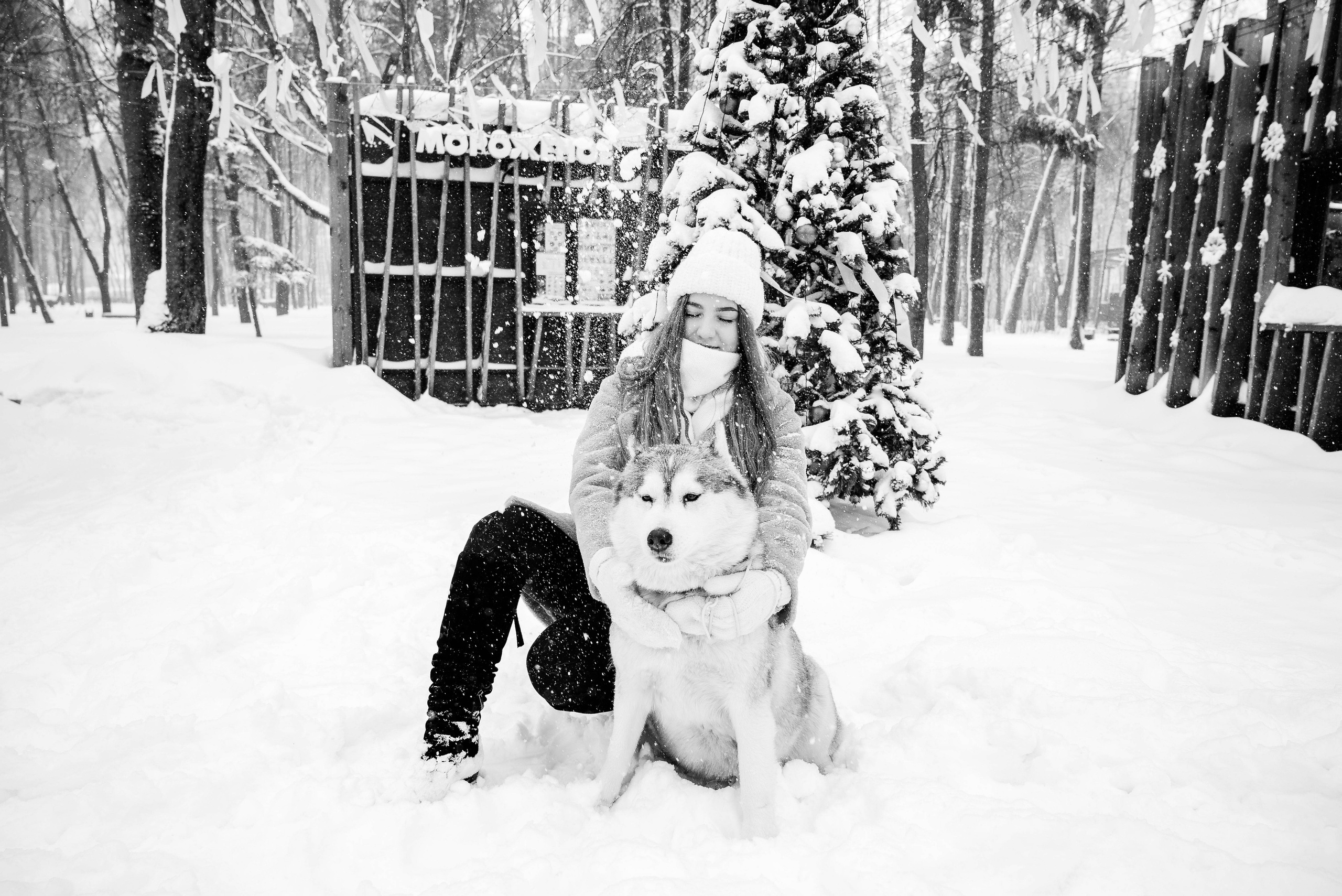 Маша с двумя хаски в снегу. Свадебный и портретный фотограф в Липецке Юлия Свит