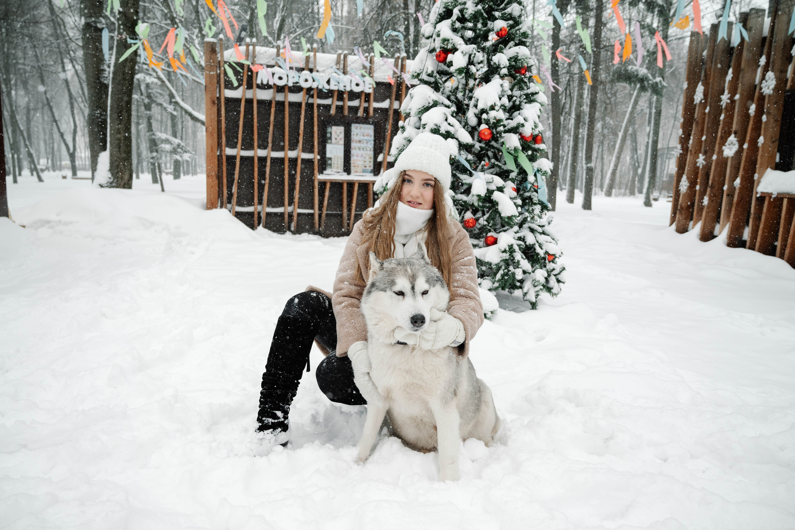 Маша с двумя хаски в снегу. Свадебный и портретный фотограф в Липецке Юлия Свит