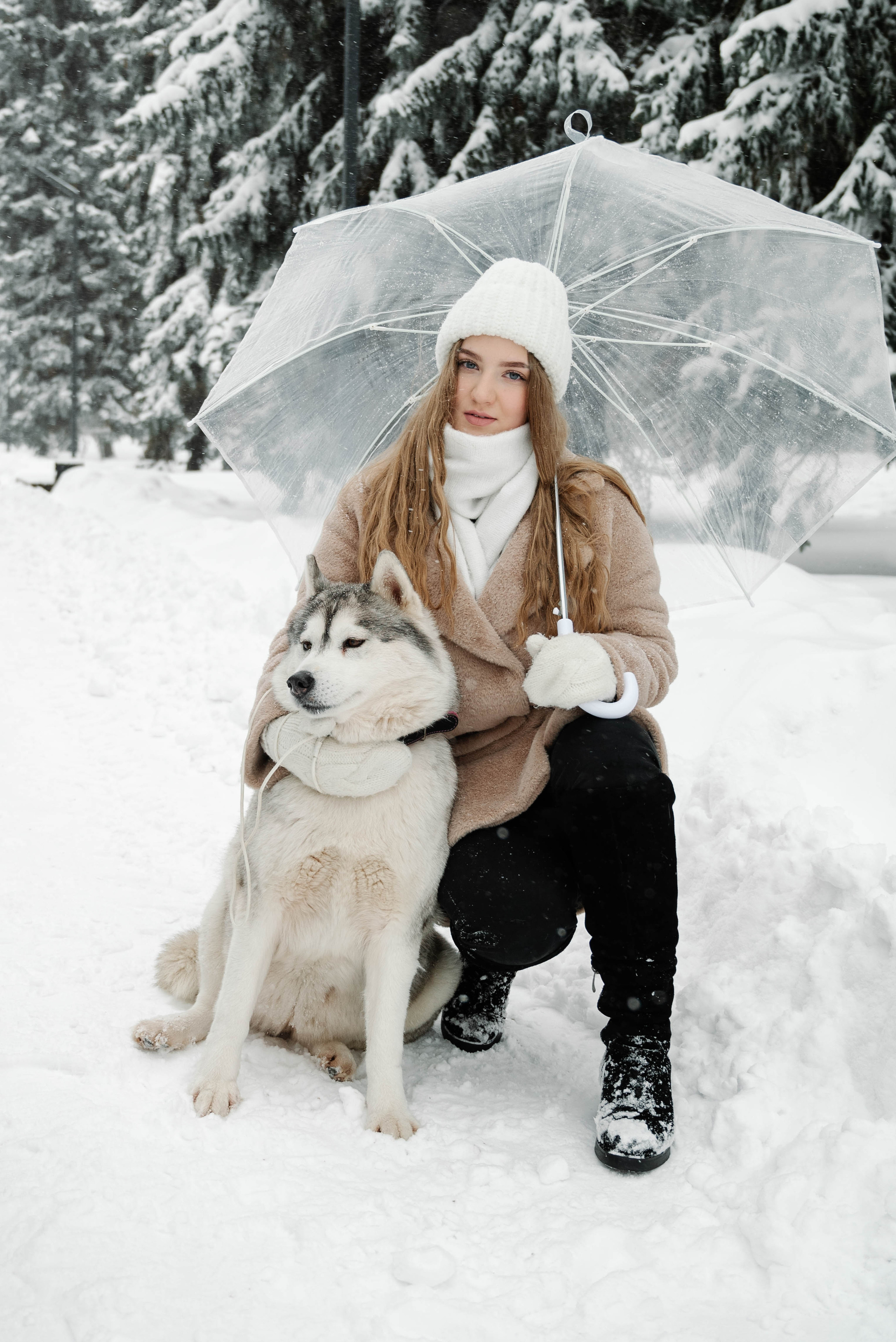 Маша с двумя хаски в снегу. Свадебный и портретный фотограф в Липецке Юлия Свит