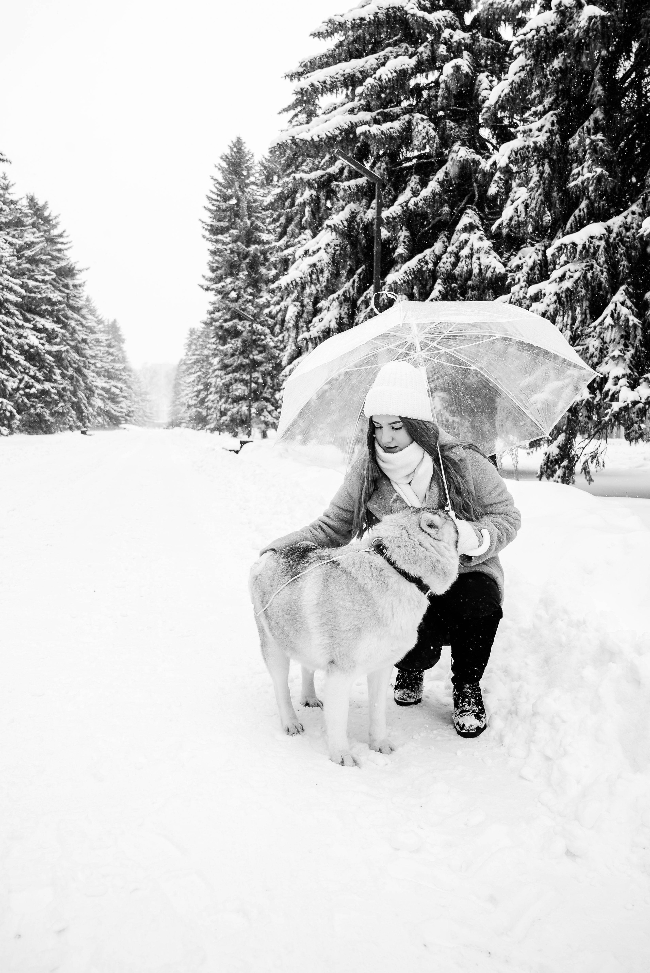 Маша с двумя хаски в снегу. Свадебный и портретный фотограф в Липецке Юлия Свит