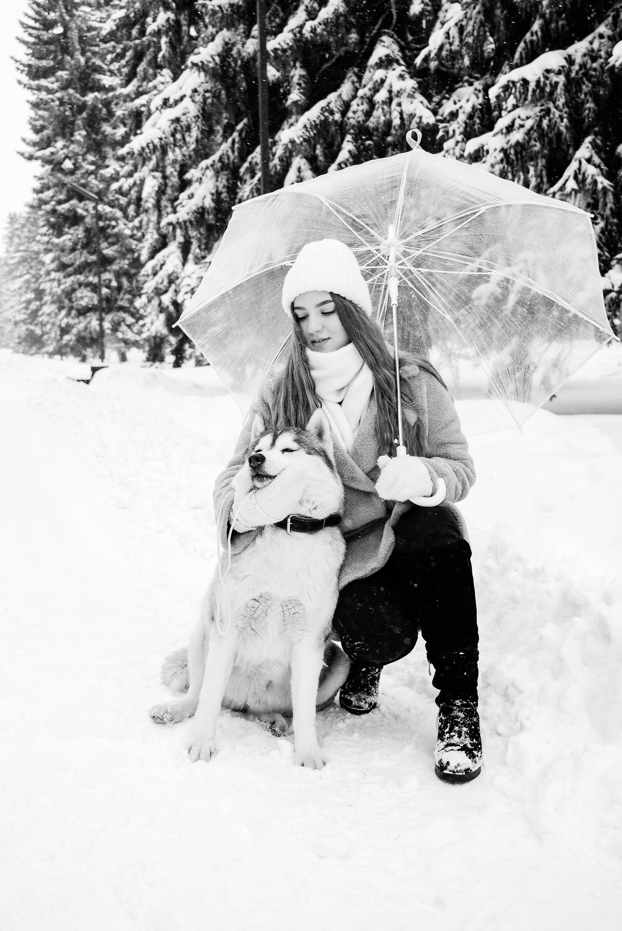 Маша с двумя хаски в снегу. Свадебный и портретный фотограф в Липецке Юлия Свит
