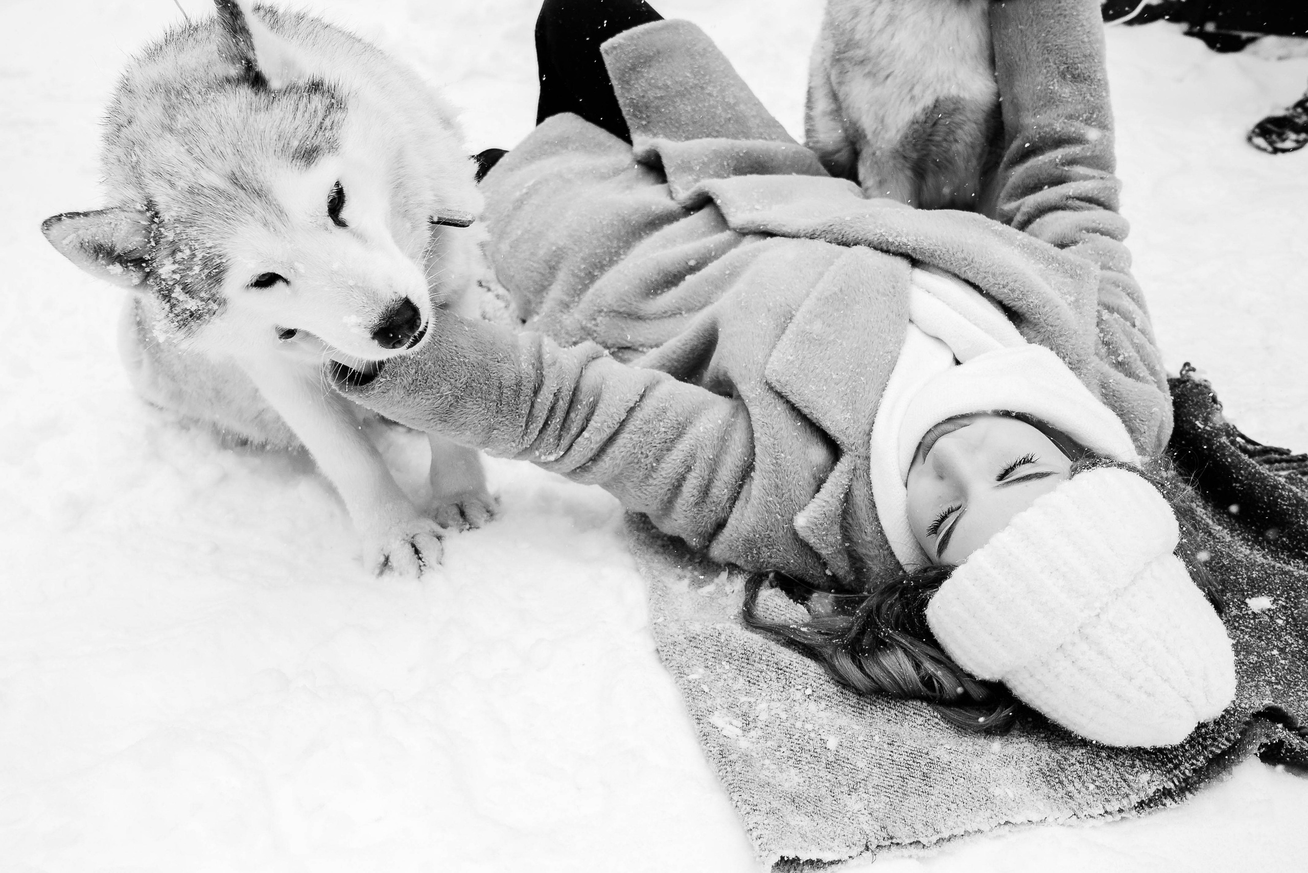 Маша с двумя хаски в снегу. Свадебный и портретный фотограф в Липецке Юлия Свит