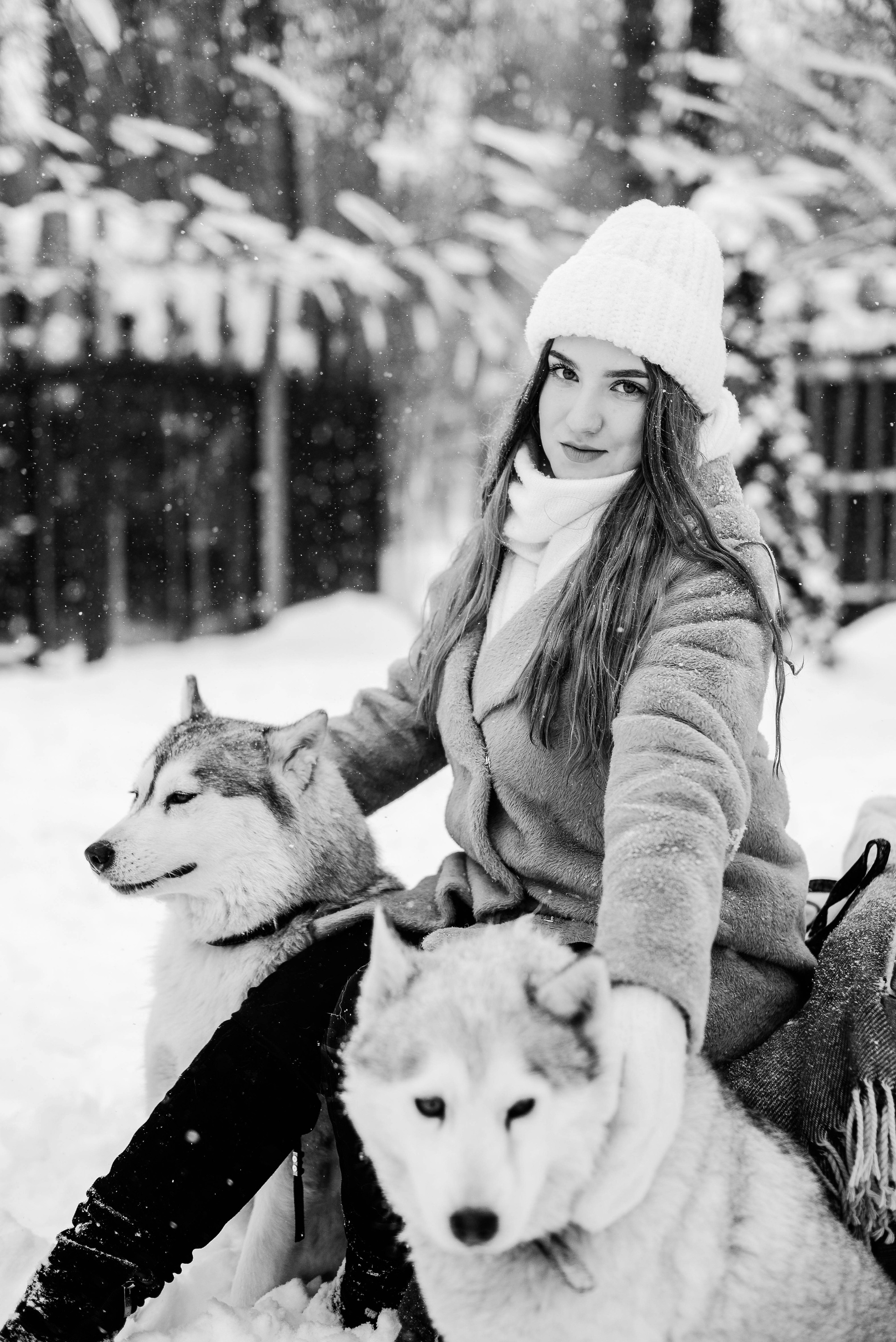 Маша с двумя хаски в снегу. Свадебный и портретный фотограф в Липецке Юлия Свит