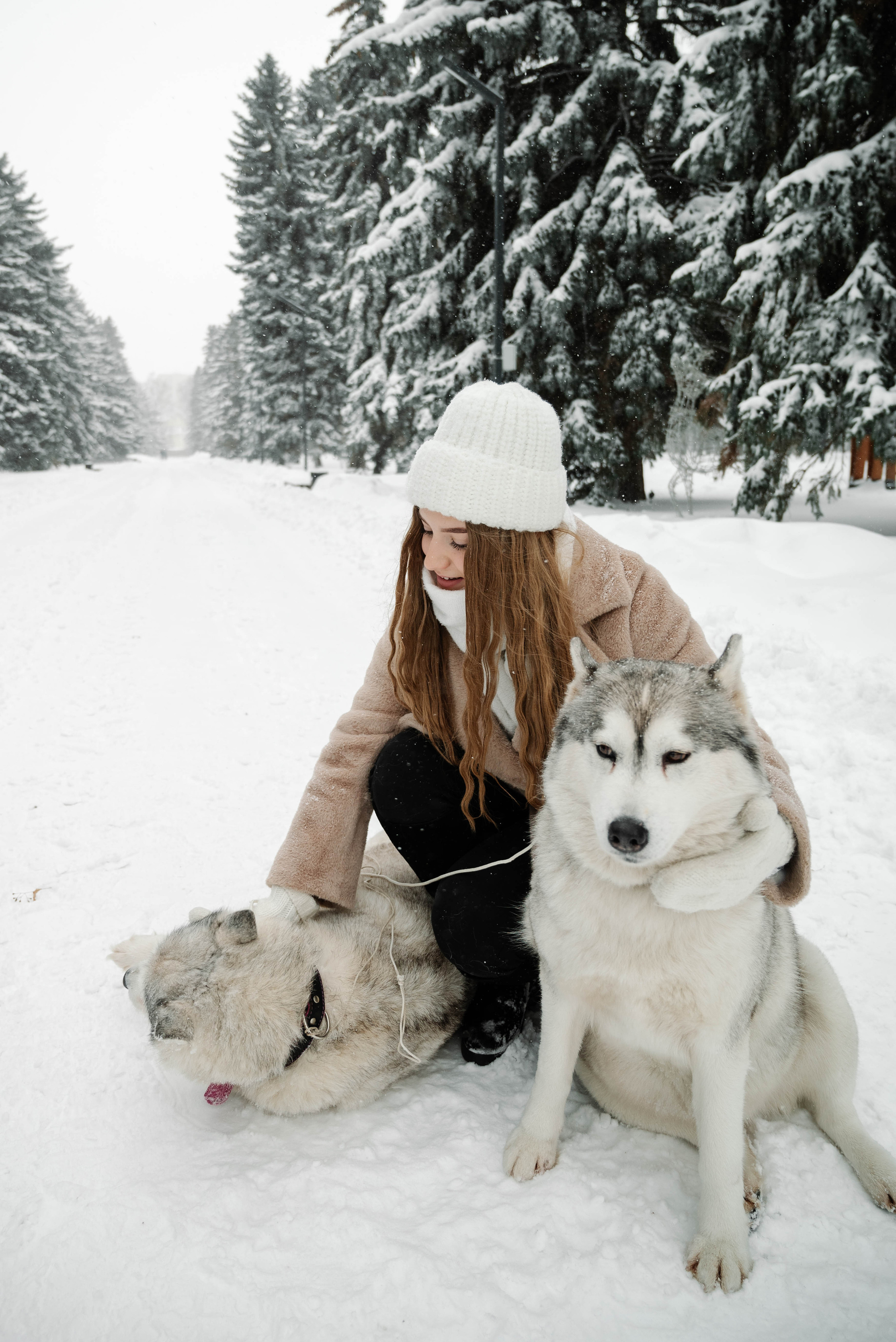 Маша с двумя хаски в снегу. Свадебный и портретный фотограф в Липецке Юлия Свит