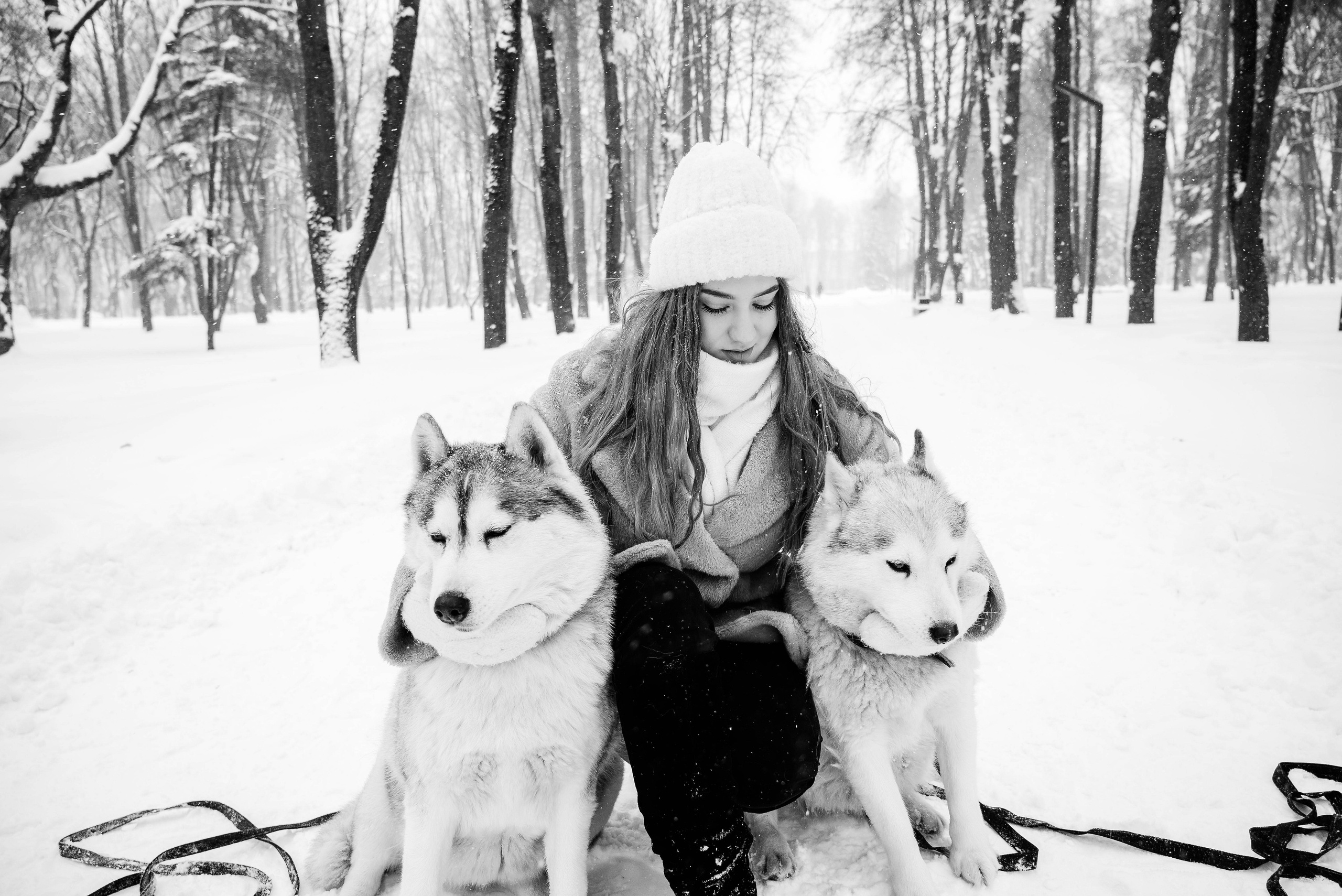 Маша с двумя хаски в снегу. Свадебный и портретный фотограф в Липецке Юлия Свит