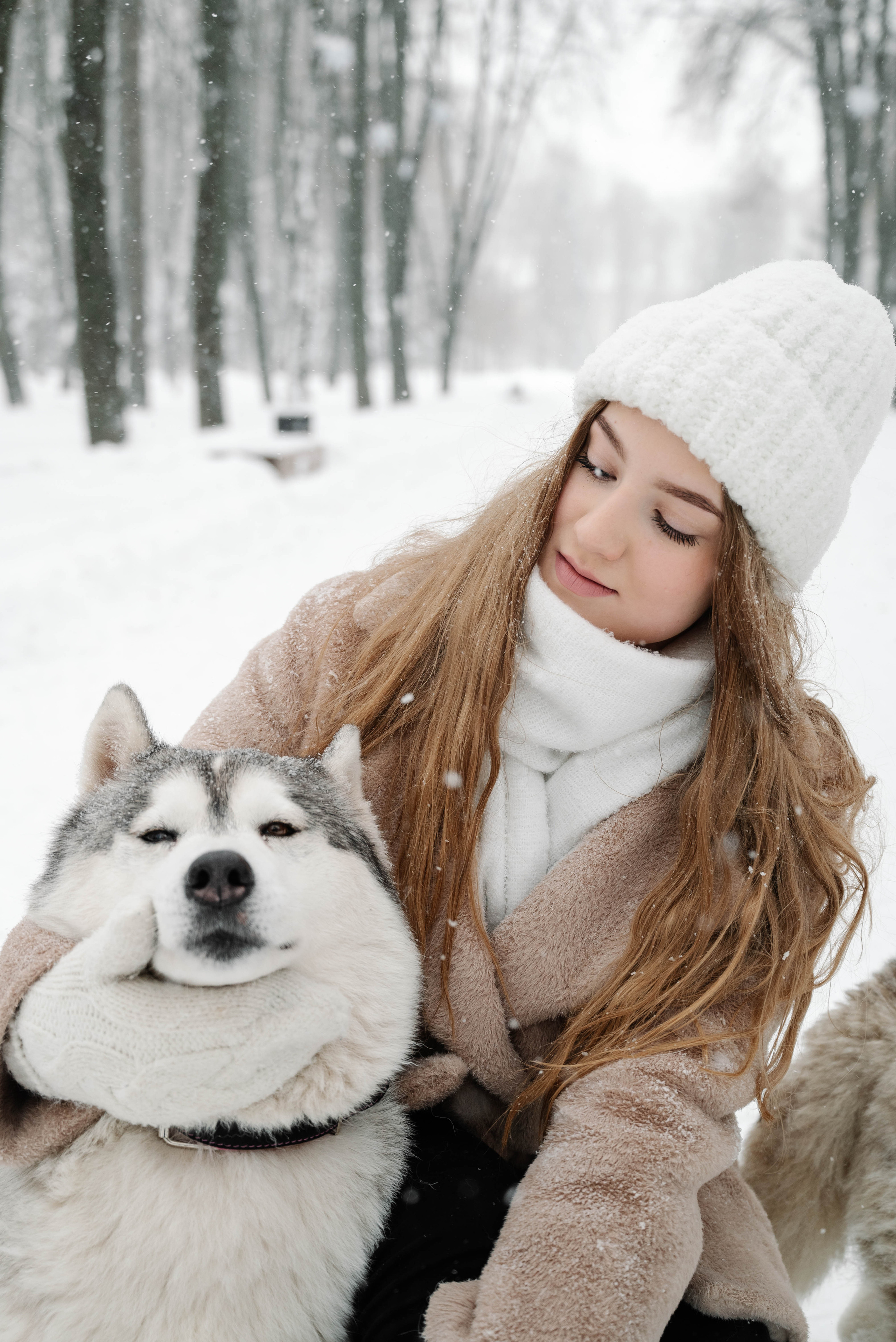 Маша с двумя хаски в снегу. Свадебный и портретный фотограф в Липецке Юлия Свит