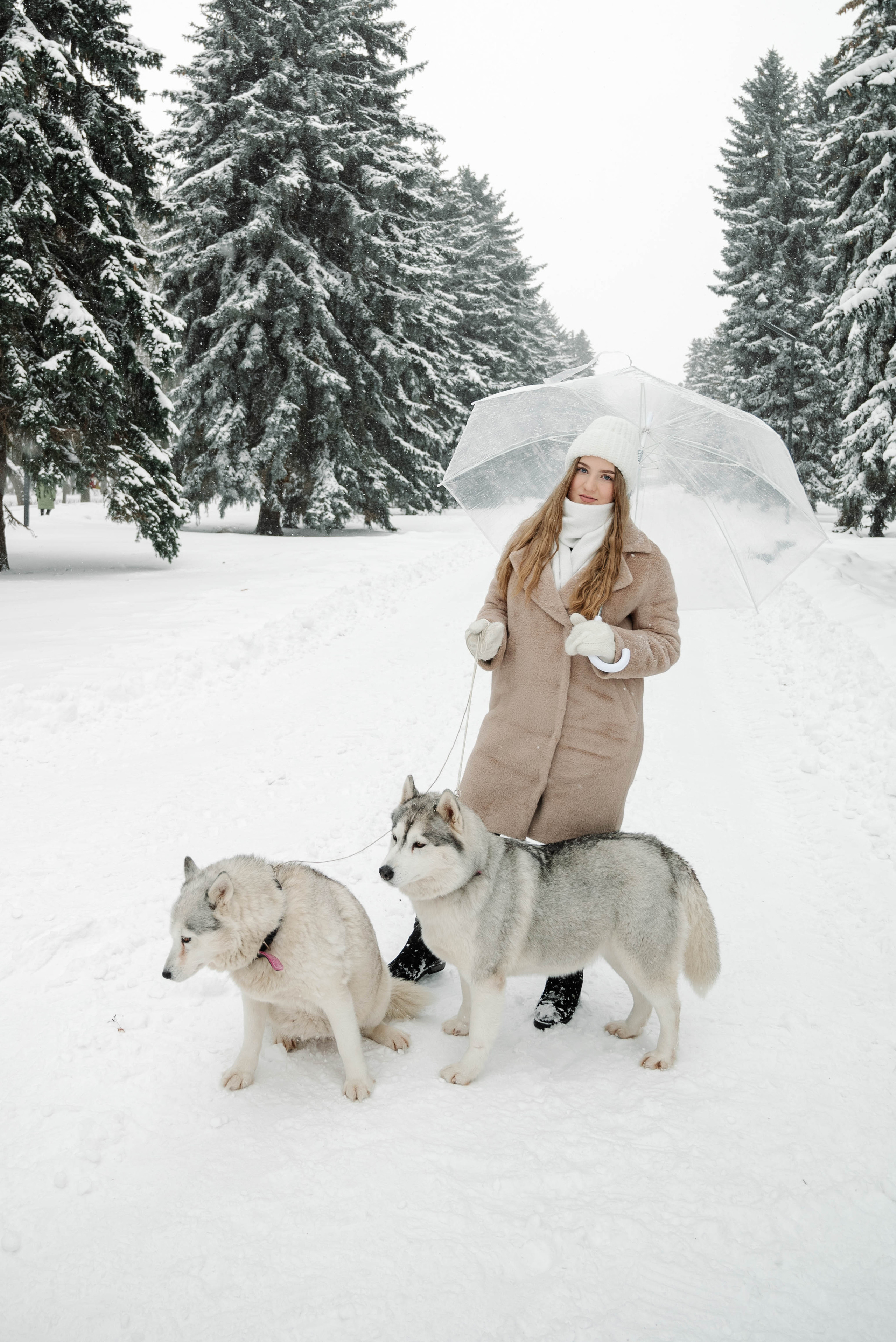 Маша с двумя хаски в снегу. Свадебный и портретный фотограф в Липецке Юлия Свит