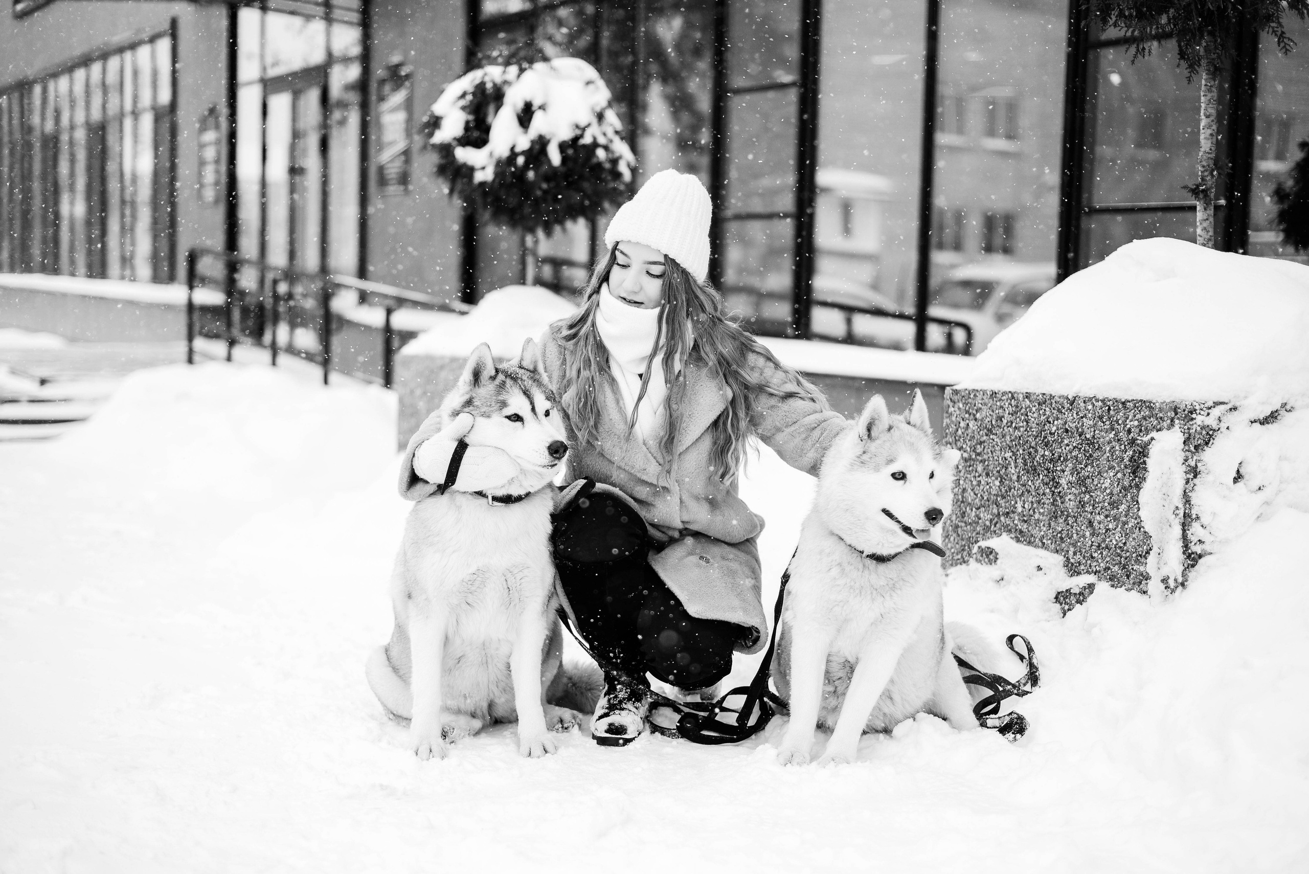 Маша с двумя хаски в снегу. Свадебный и портретный фотограф в Липецке Юлия Свит