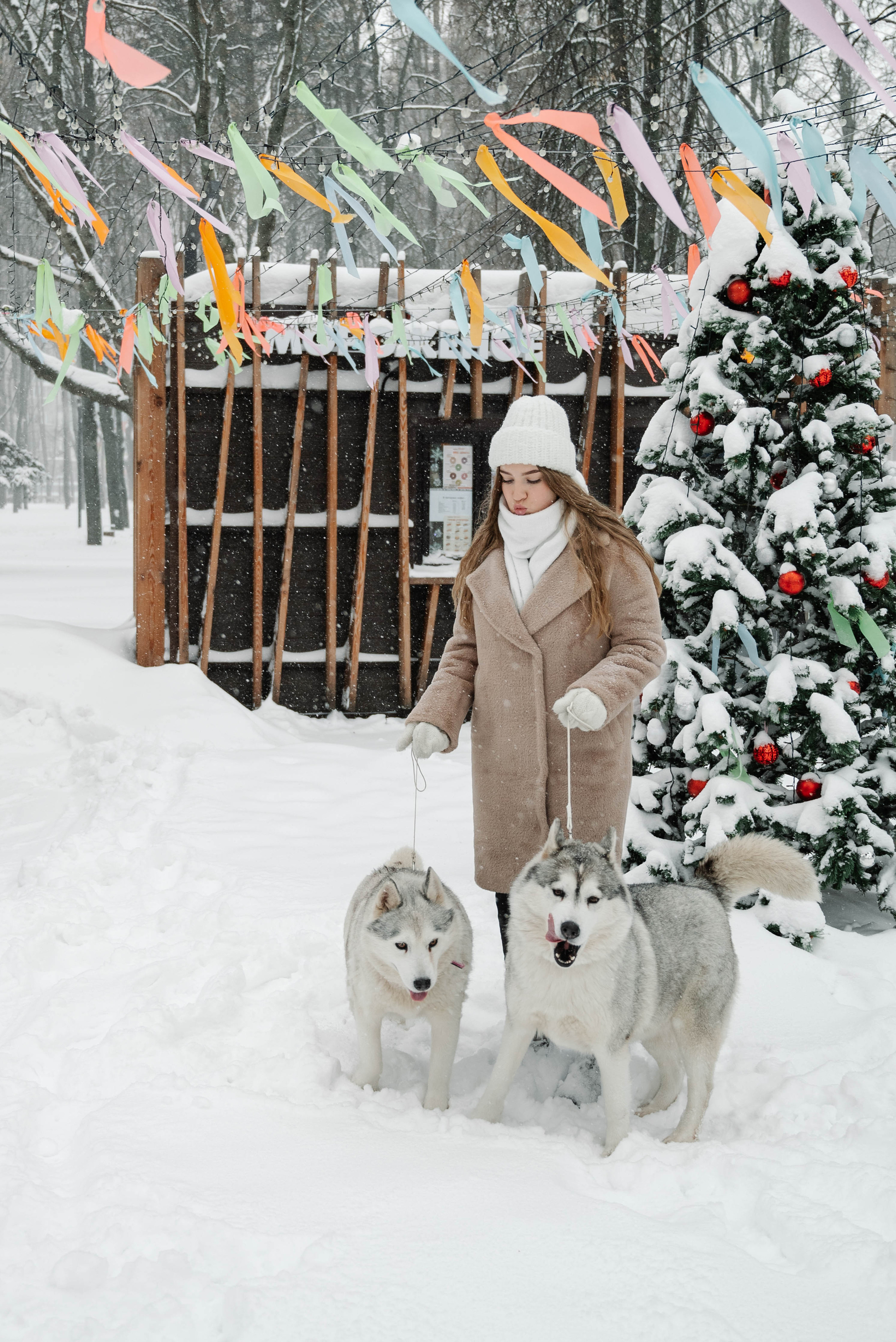 Маша с двумя хаски в снегу. Свадебный и портретный фотограф в Липецке Юлия Свит
