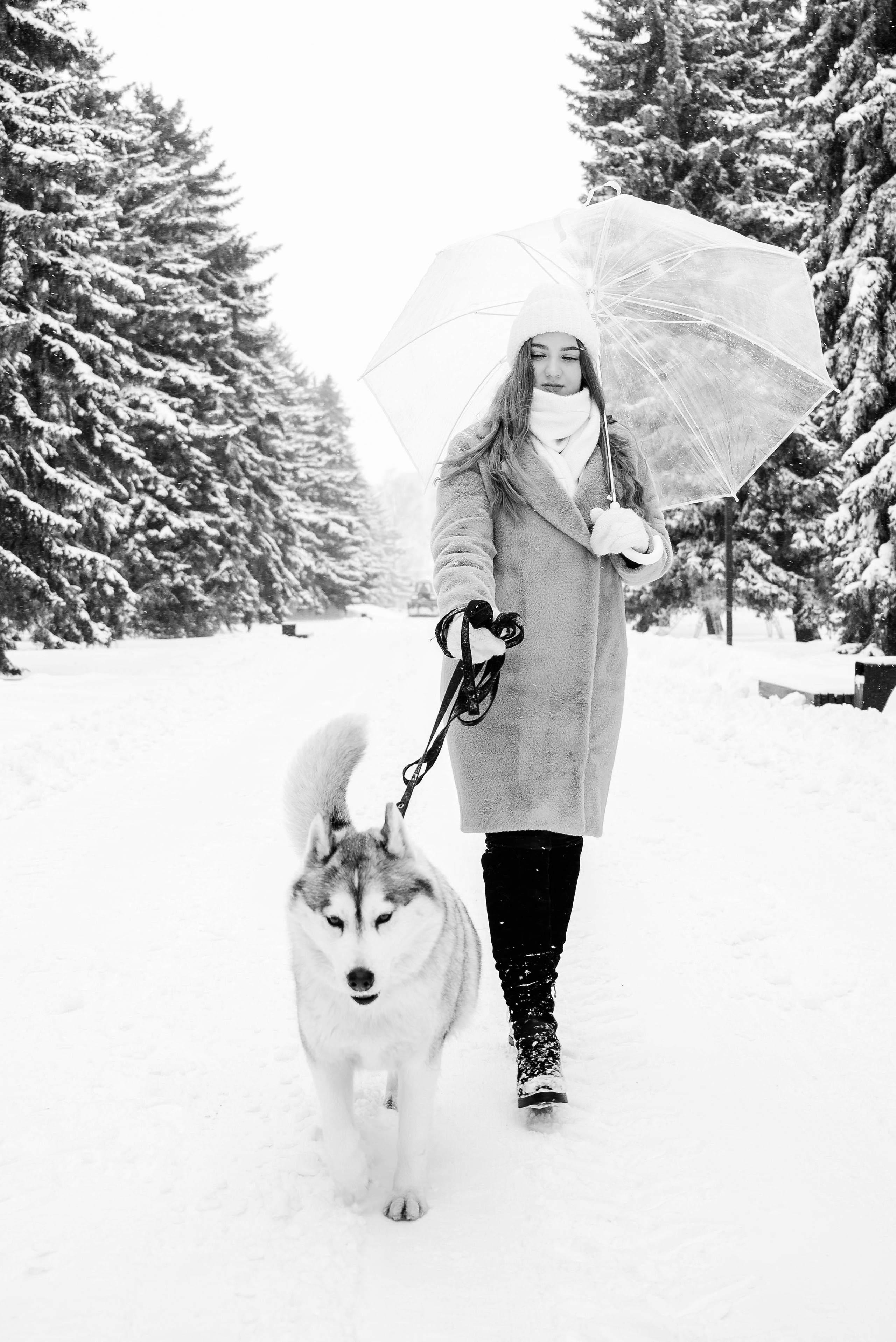 Маша с двумя хаски в снегу. Свадебный и портретный фотограф в Липецке Юлия Свит