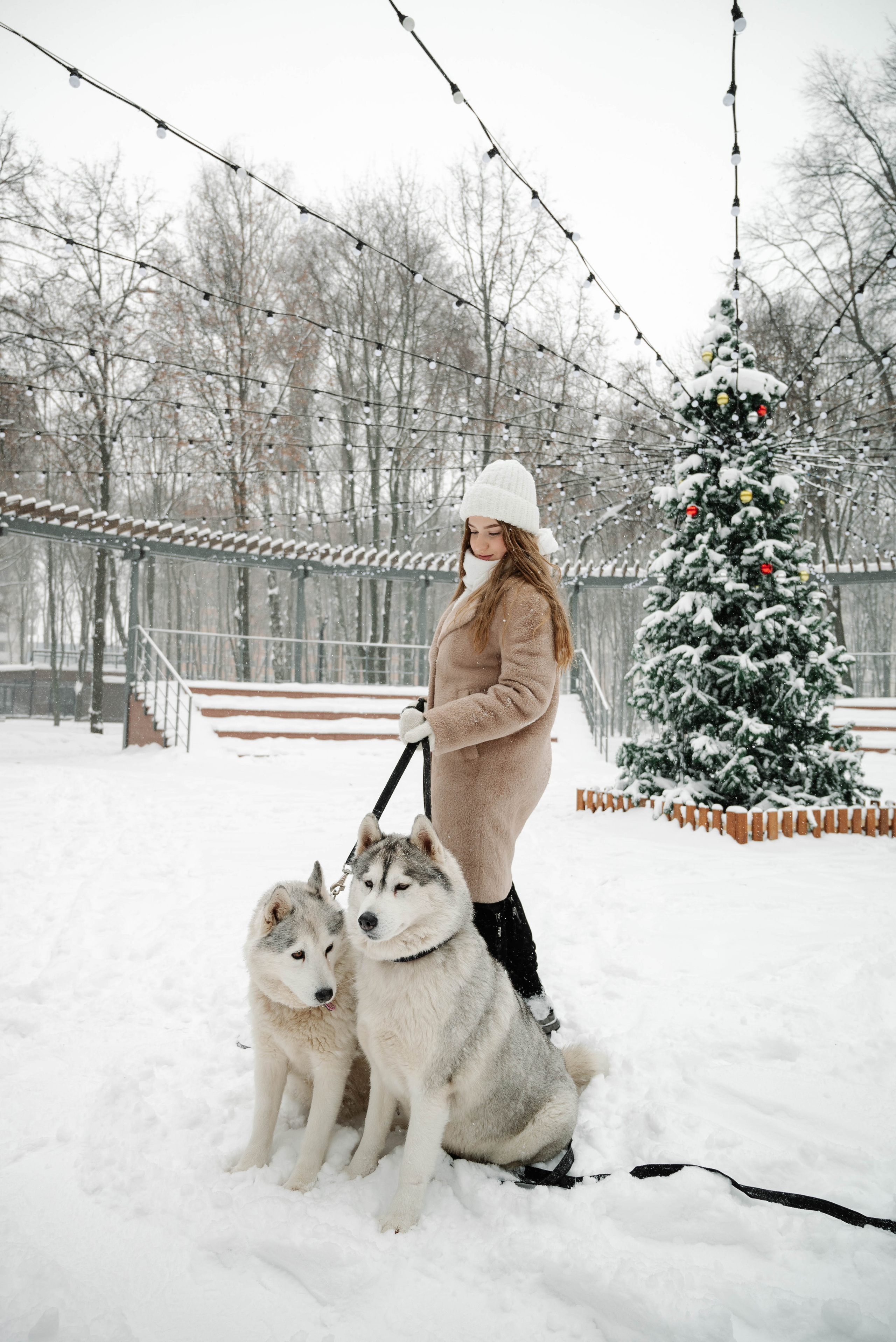 Маша с двумя хаски в снегу. Свадебный и портретный фотограф в Липецке Юлия Свит