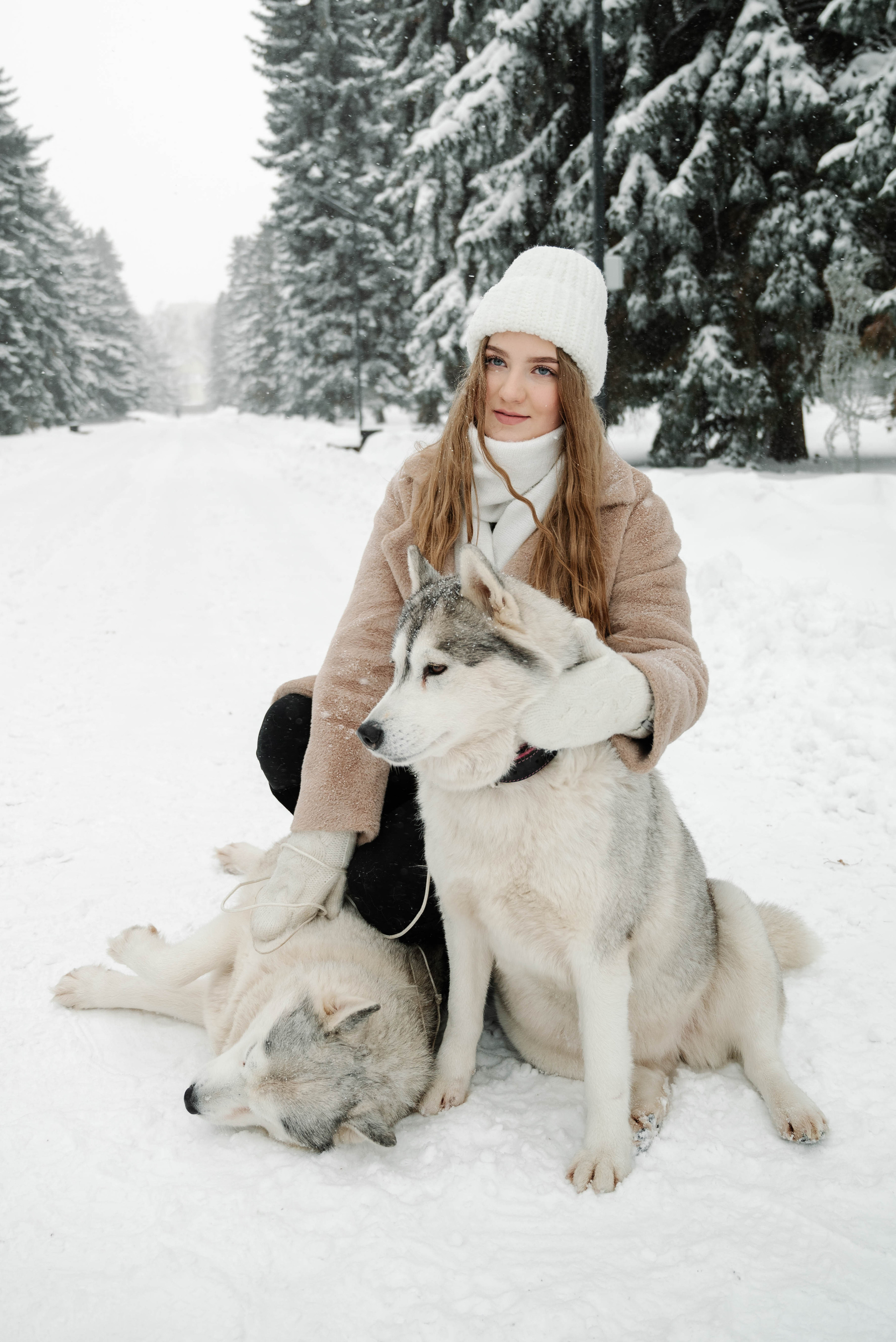 Маша с двумя хаски в снегу. Свадебный и портретный фотограф в Липецке Юлия Свит