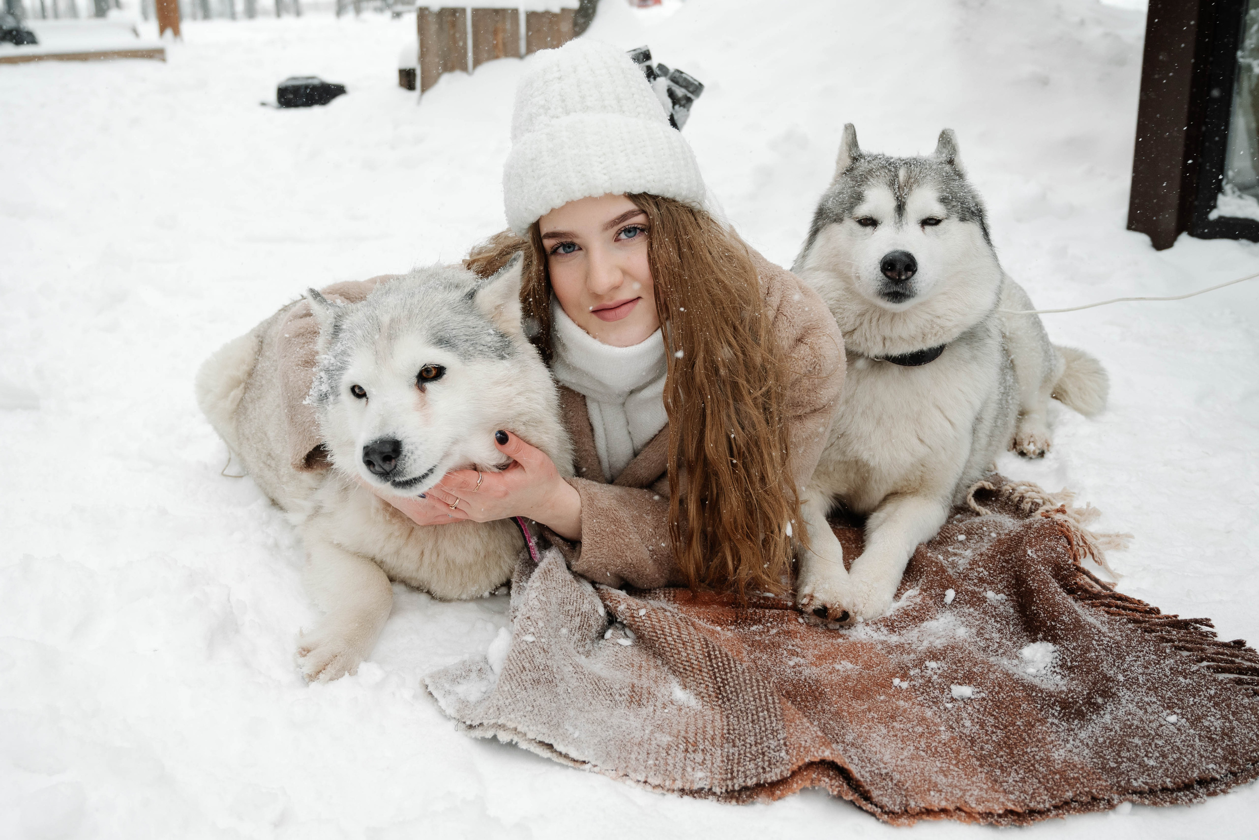 Маша с двумя хаски в снегу. Свадебный и портретный фотограф в Липецке Юлия Свит