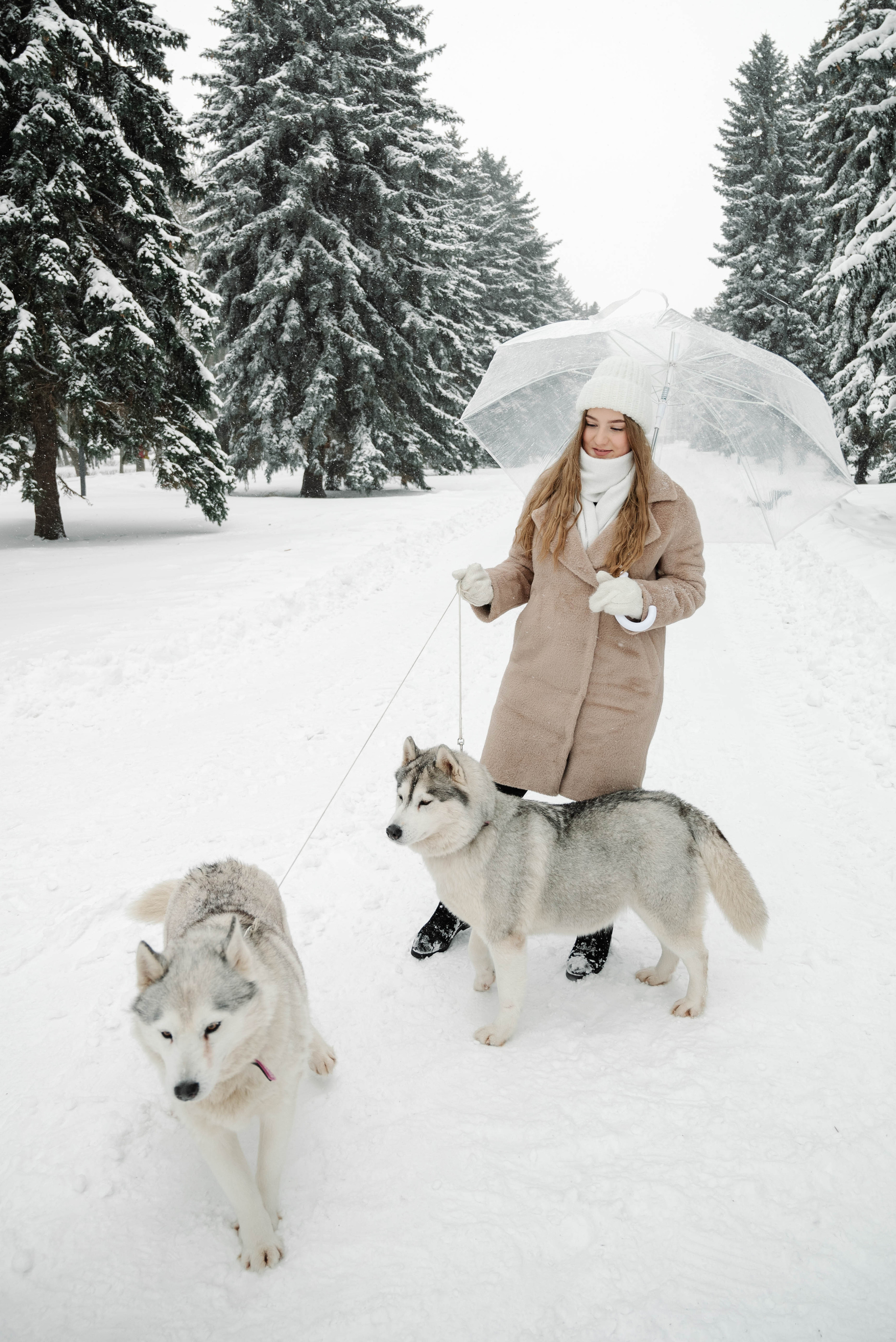 Маша с двумя хаски в снегу. Свадебный и портретный фотограф в Липецке Юлия Свит