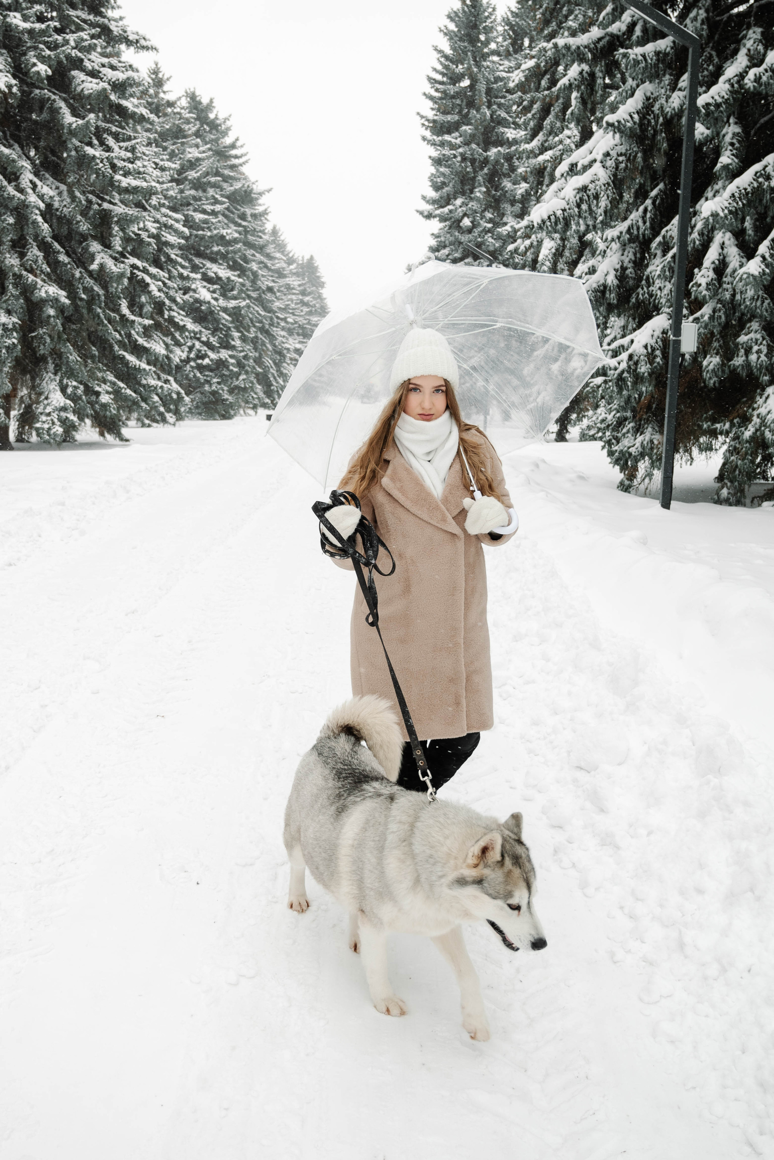 Маша с двумя хаски в снегу. Свадебный и портретный фотограф в Липецке Юлия Свит