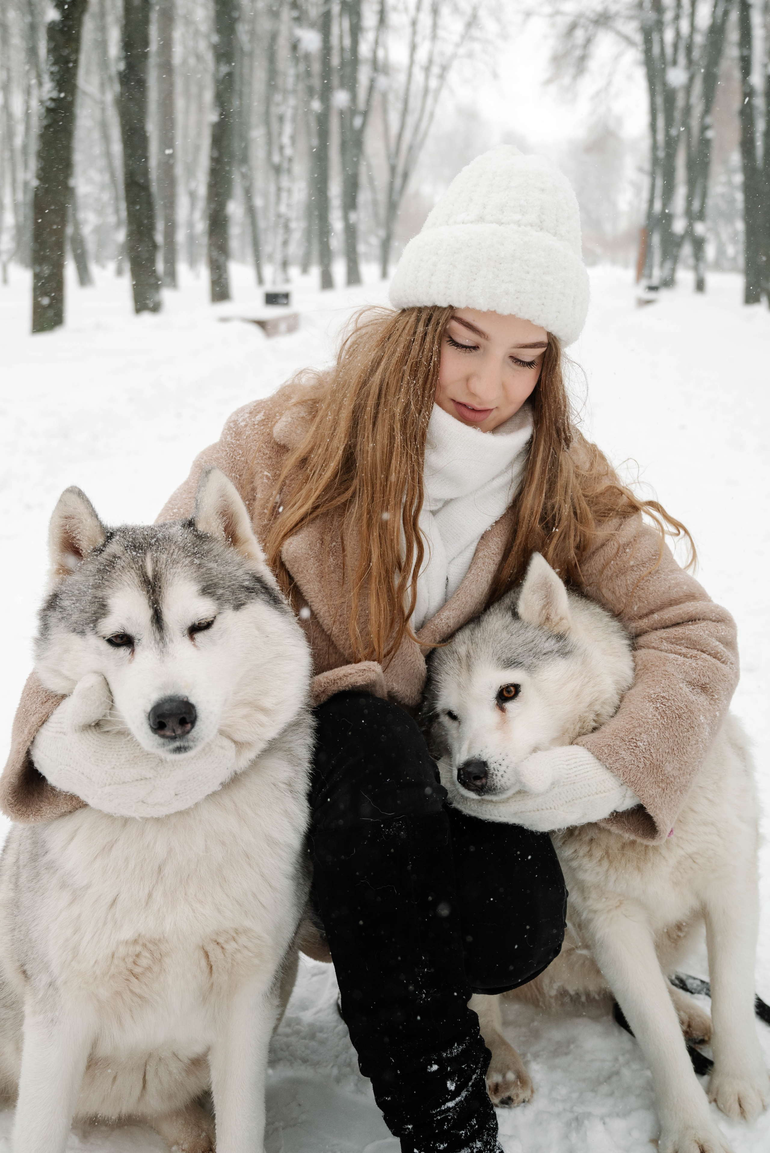 Маша с двумя хаски в снегу. Свадебный и портретный фотограф в Липецке Юлия Свит