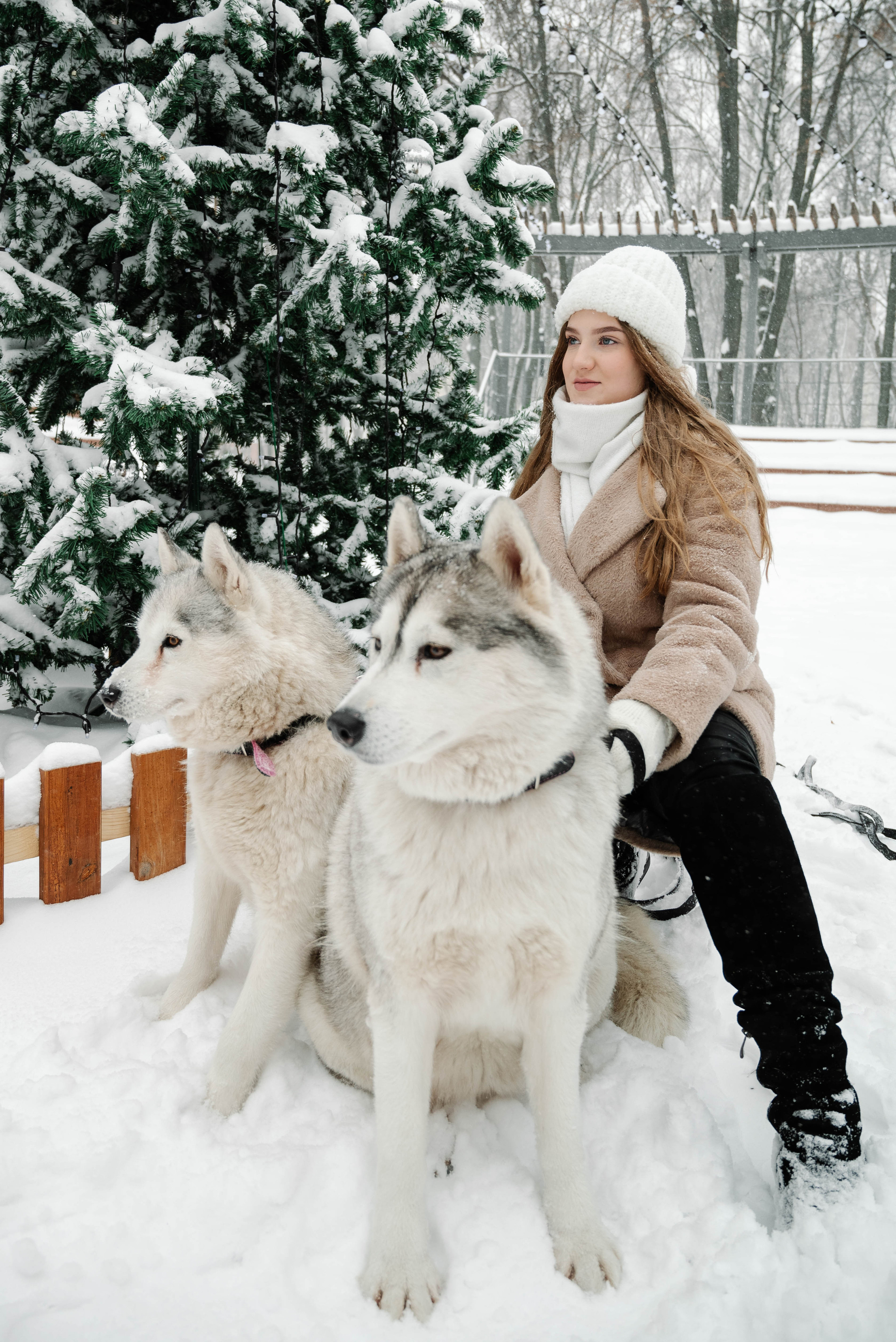 Маша с двумя хаски в снегу. Свадебный и портретный фотограф в Липецке Юлия Свит