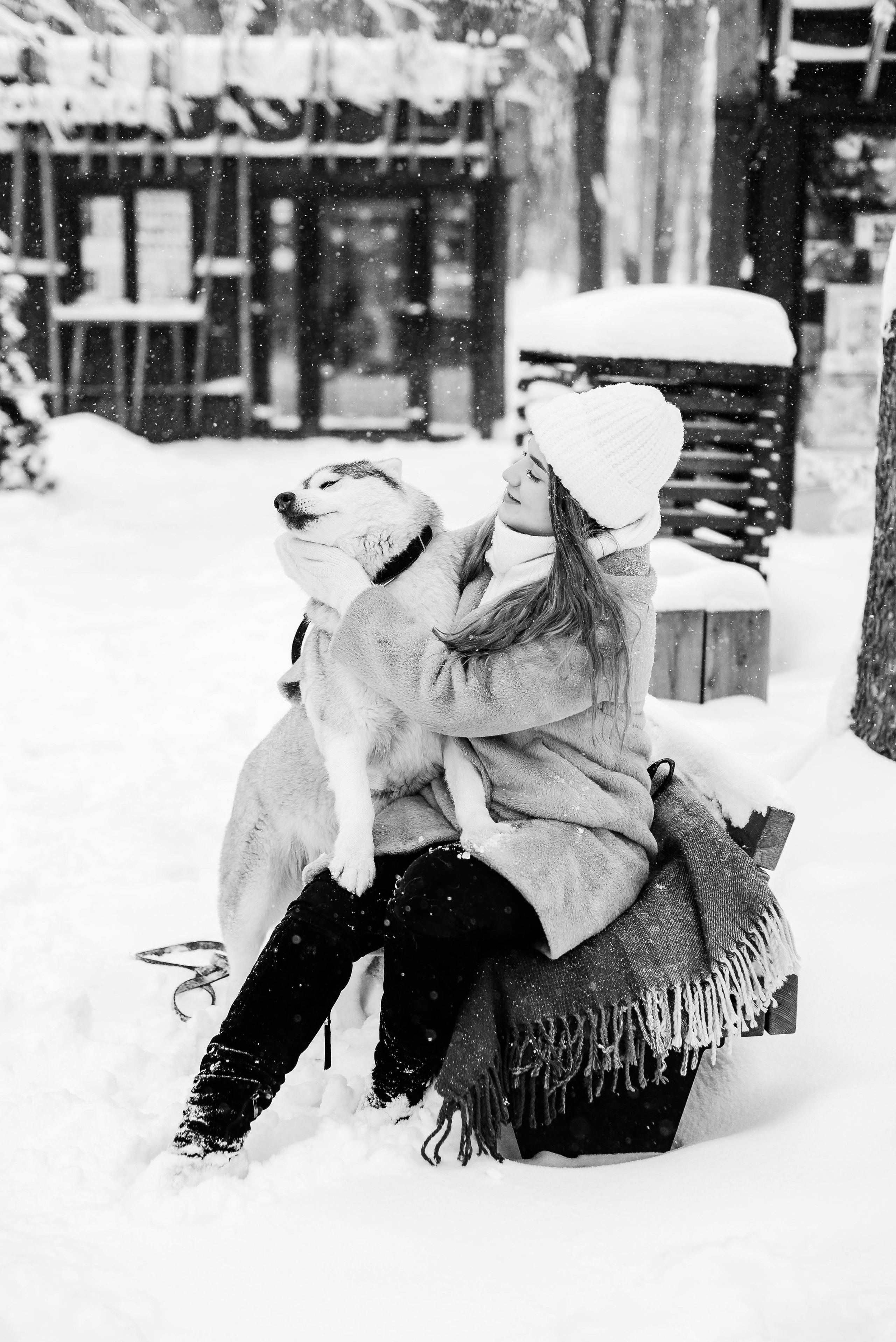 Маша с двумя хаски в снегу. Свадебный и портретный фотограф в Липецке Юлия Свит