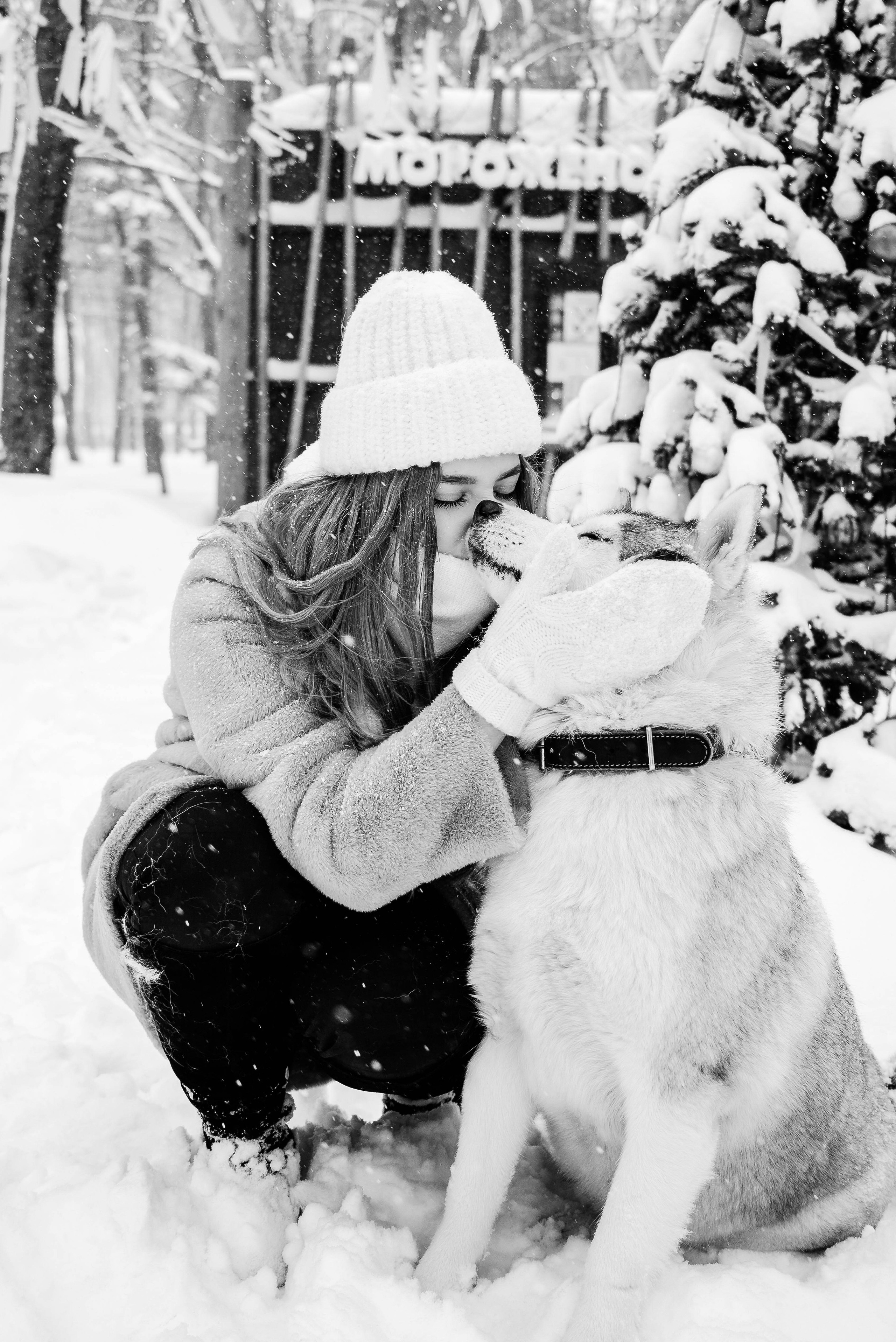 Маша с двумя хаски в снегу. Свадебный и портретный фотограф в Липецке Юлия Свит