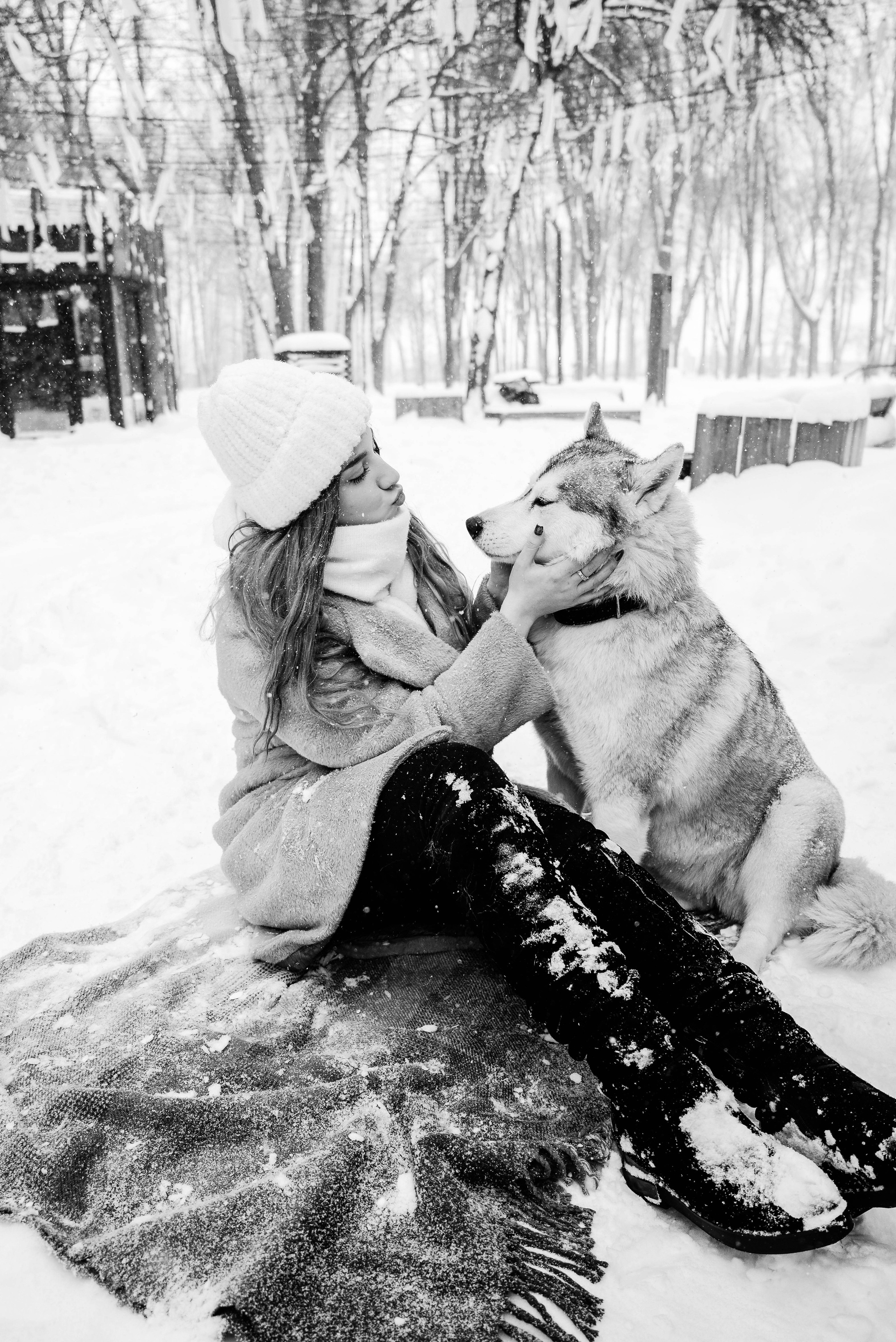 Маша с двумя хаски в снегу. Свадебный и портретный фотограф в Липецке Юлия Свит