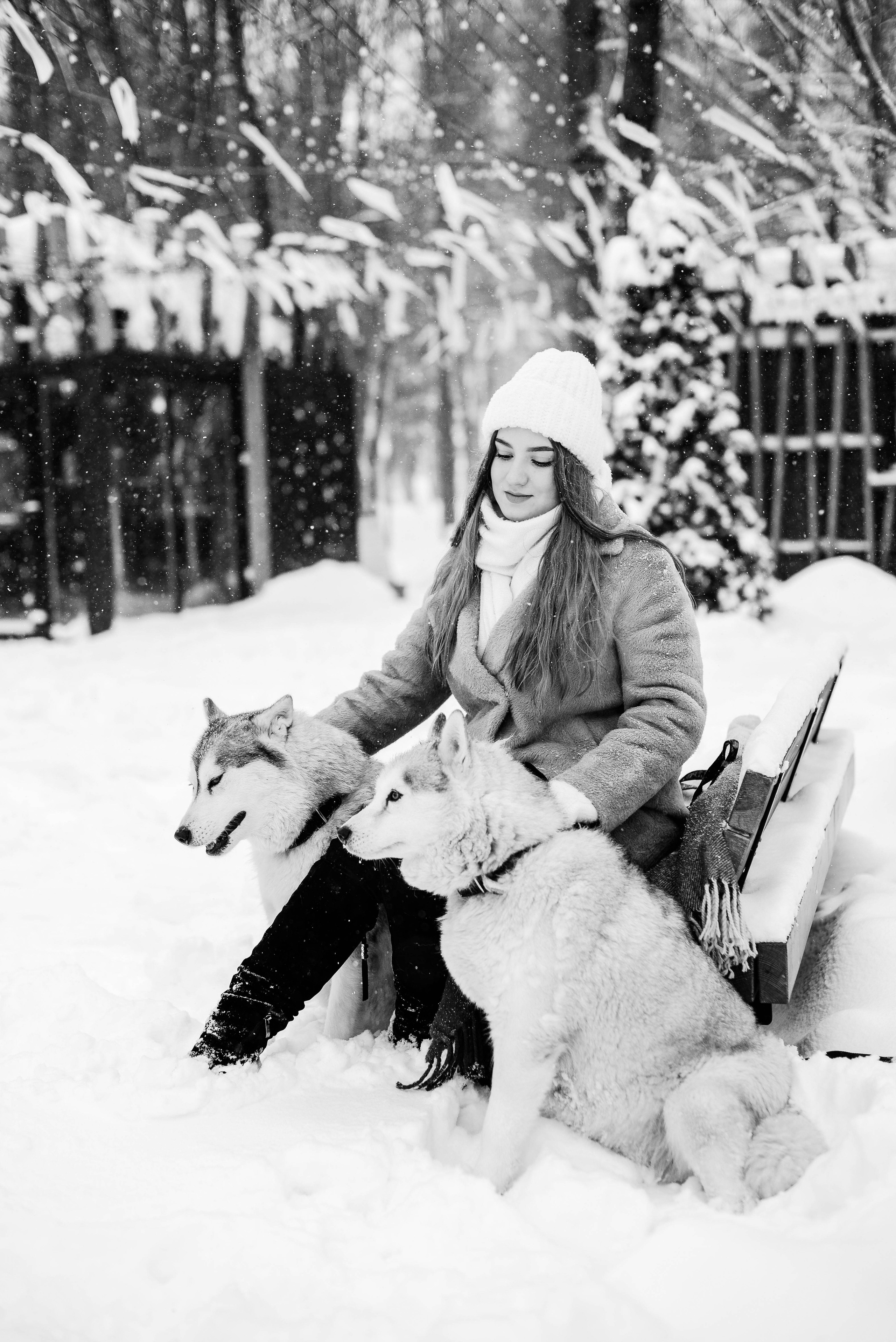 Маша с двумя хаски в снегу. Свадебный и портретный фотограф в Липецке Юлия Свит